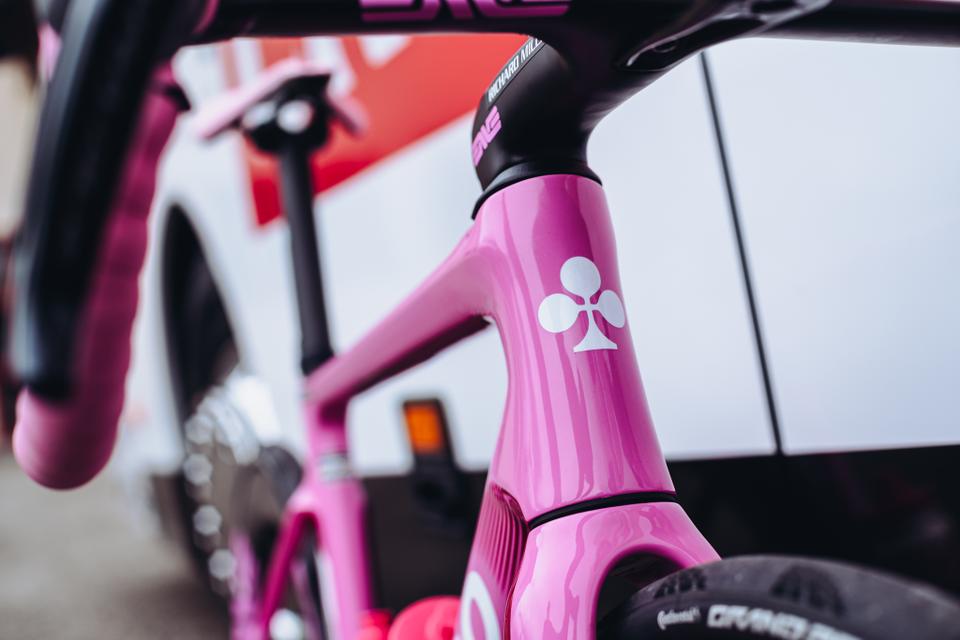 Colnago pink new arrivals