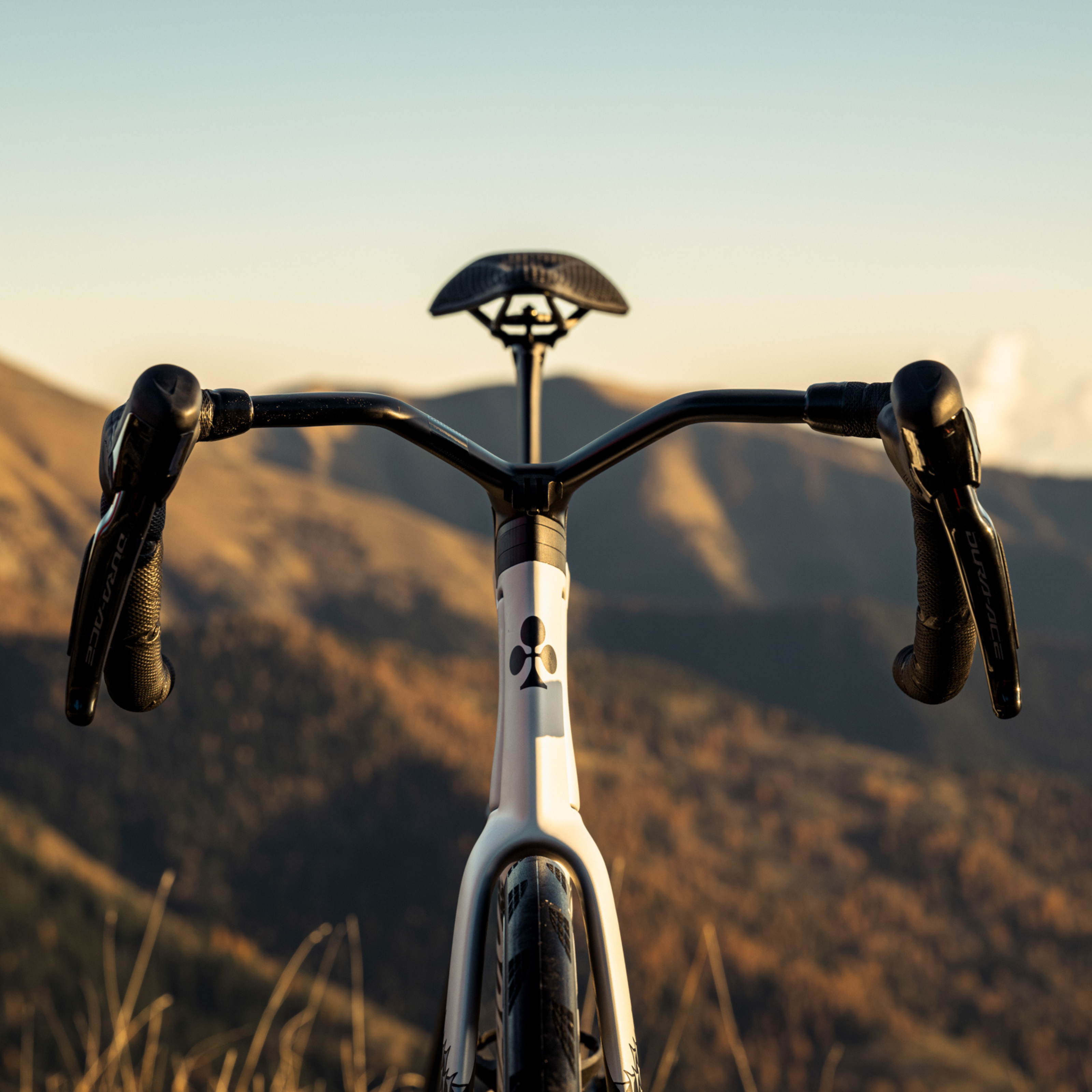 Colnago Y1rs