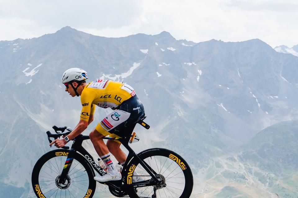  Colnago