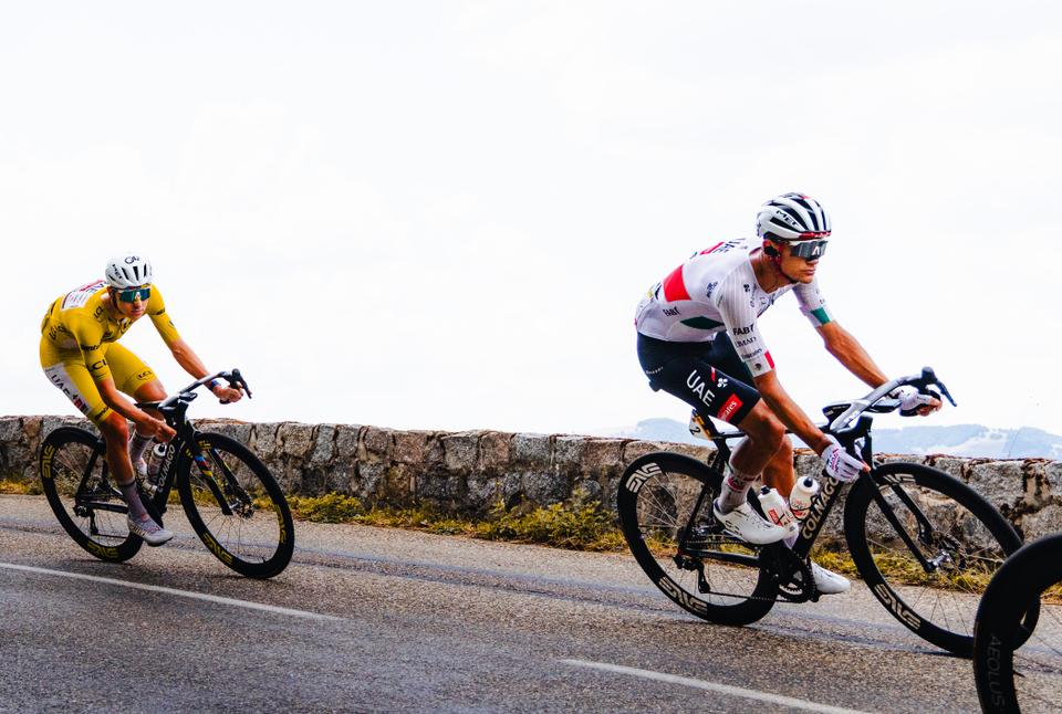 Colnago