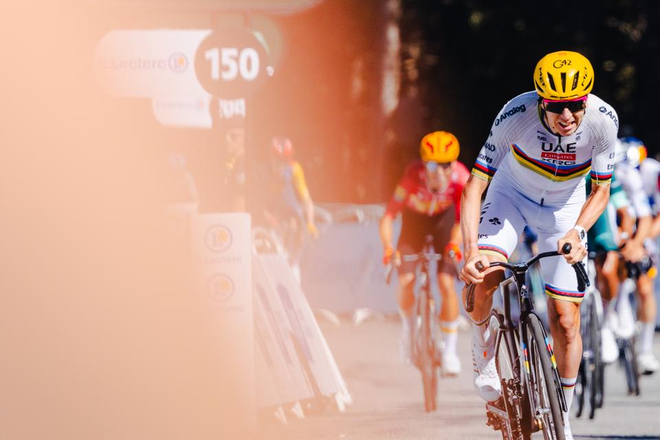  Colnago
