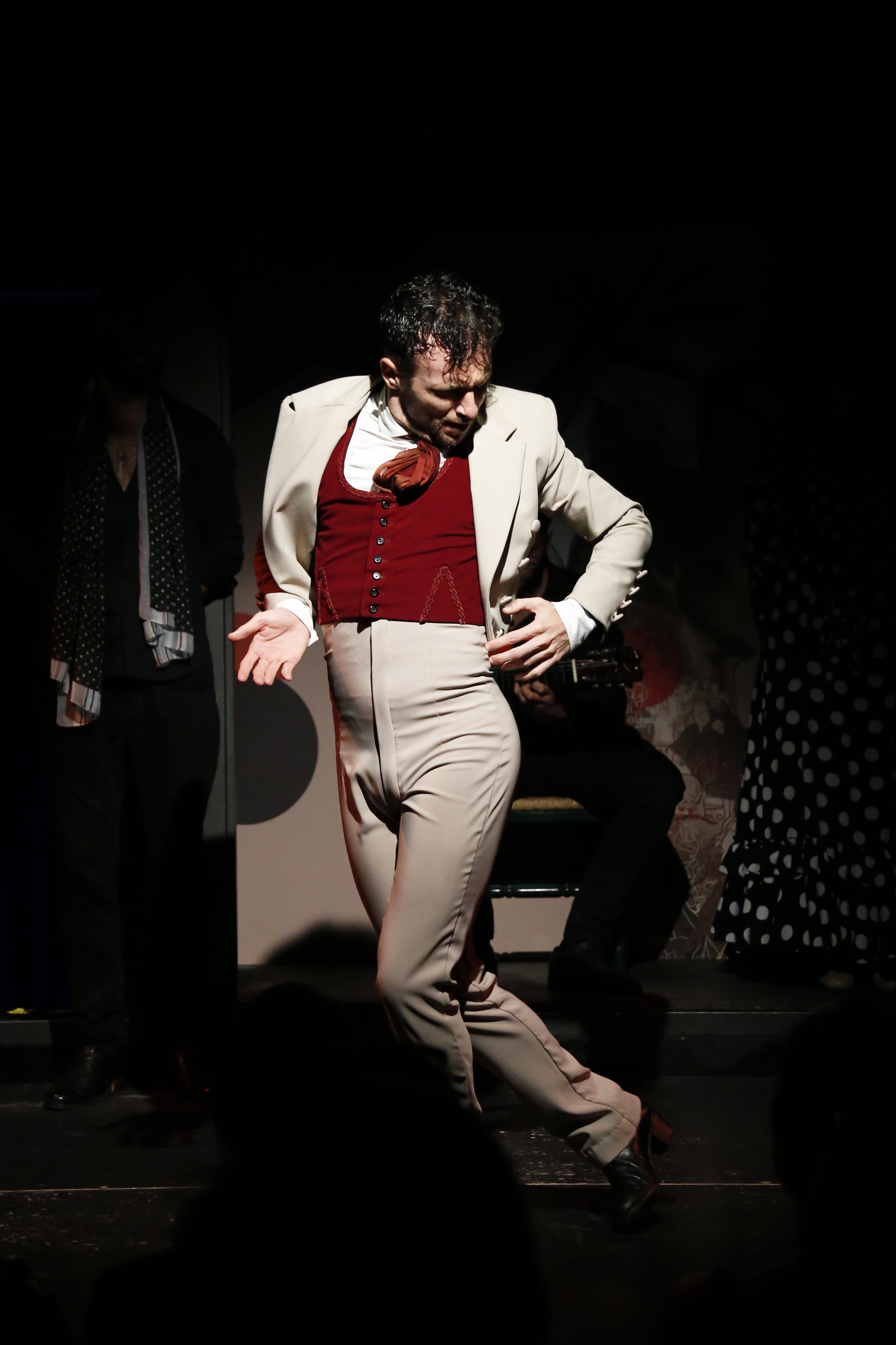Juan Carlos Avecilla flamenco show
