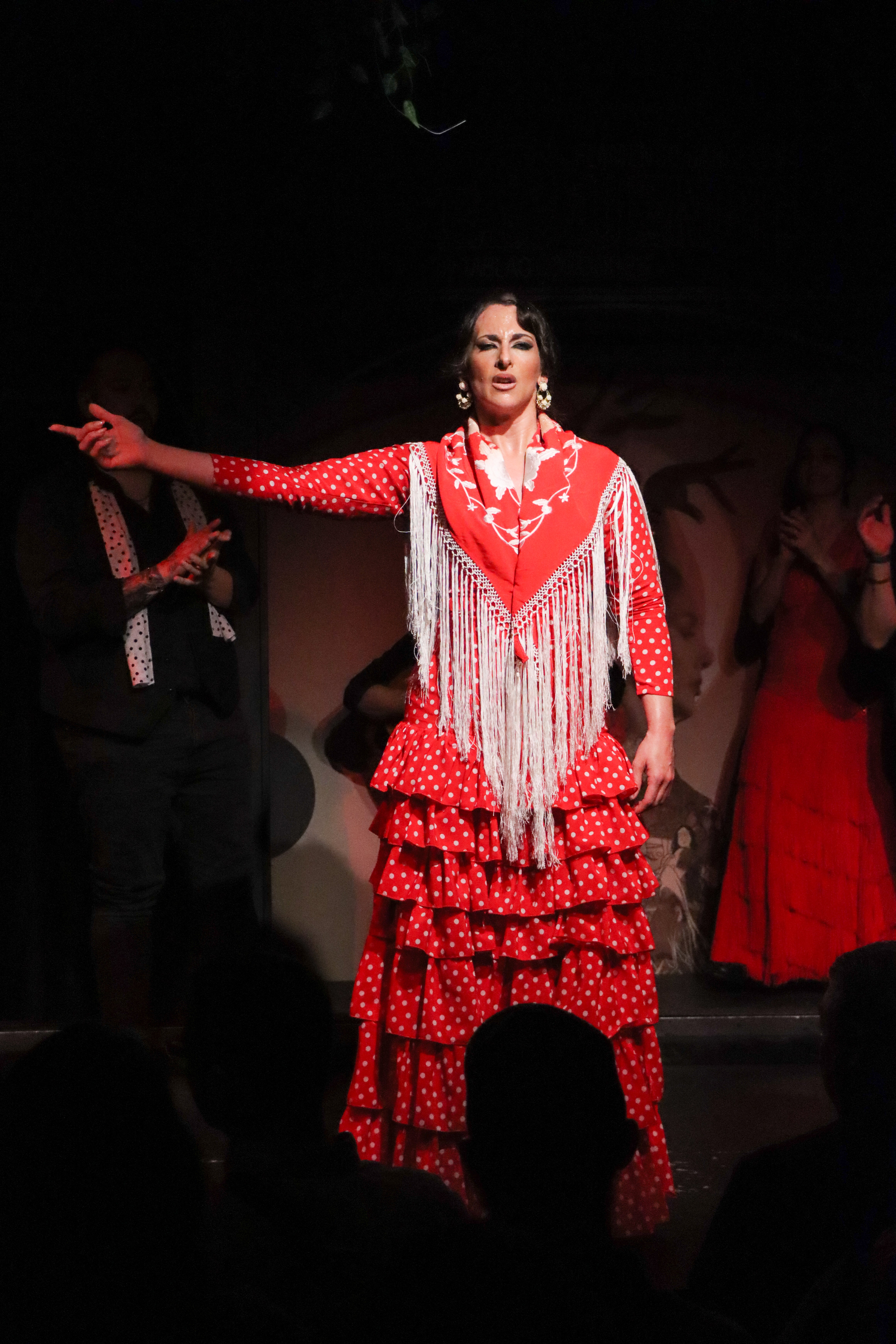 paula-salazar-flamenco-show