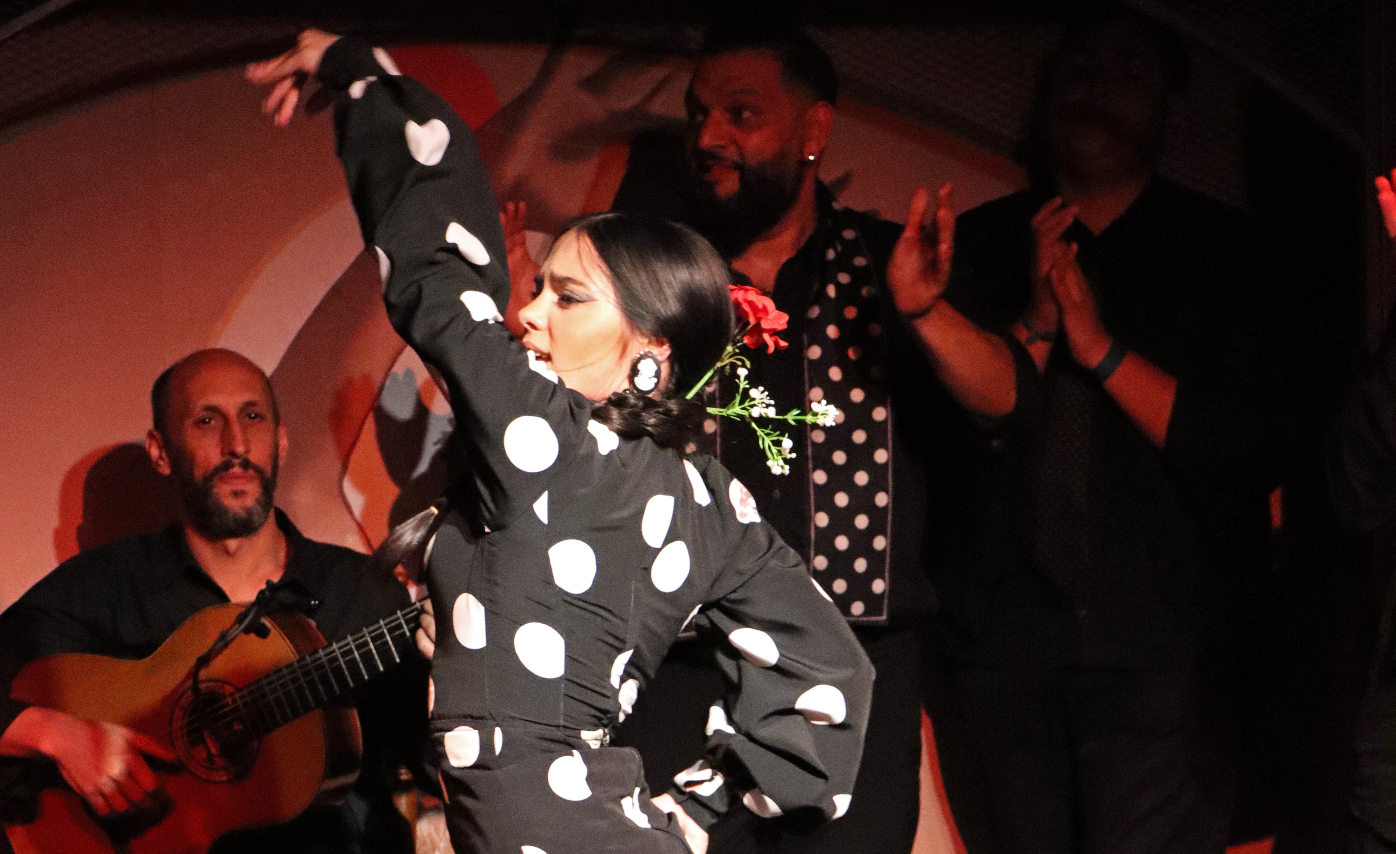 Flamenco Night in Barcelona