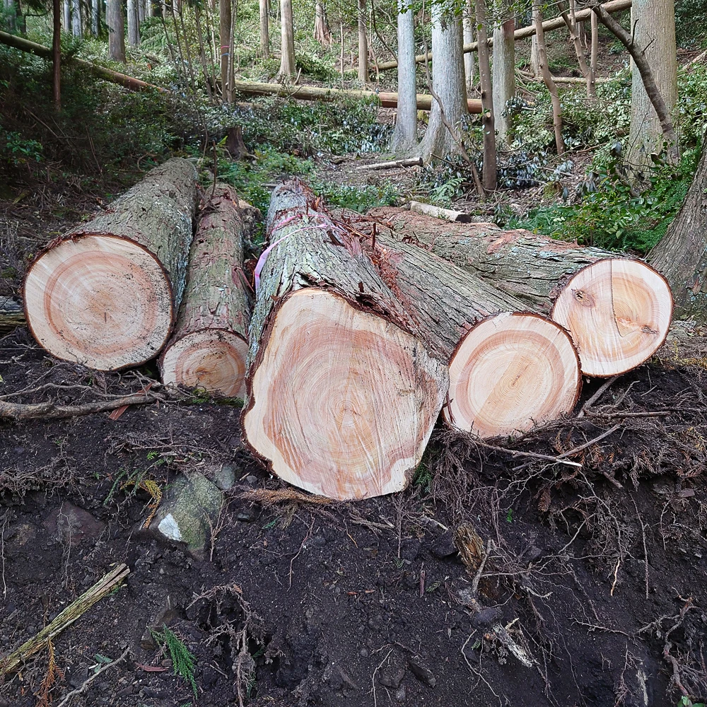 岡田かめや特集｜特別販売会【松屋銀座】 | Matsuya Ginza
