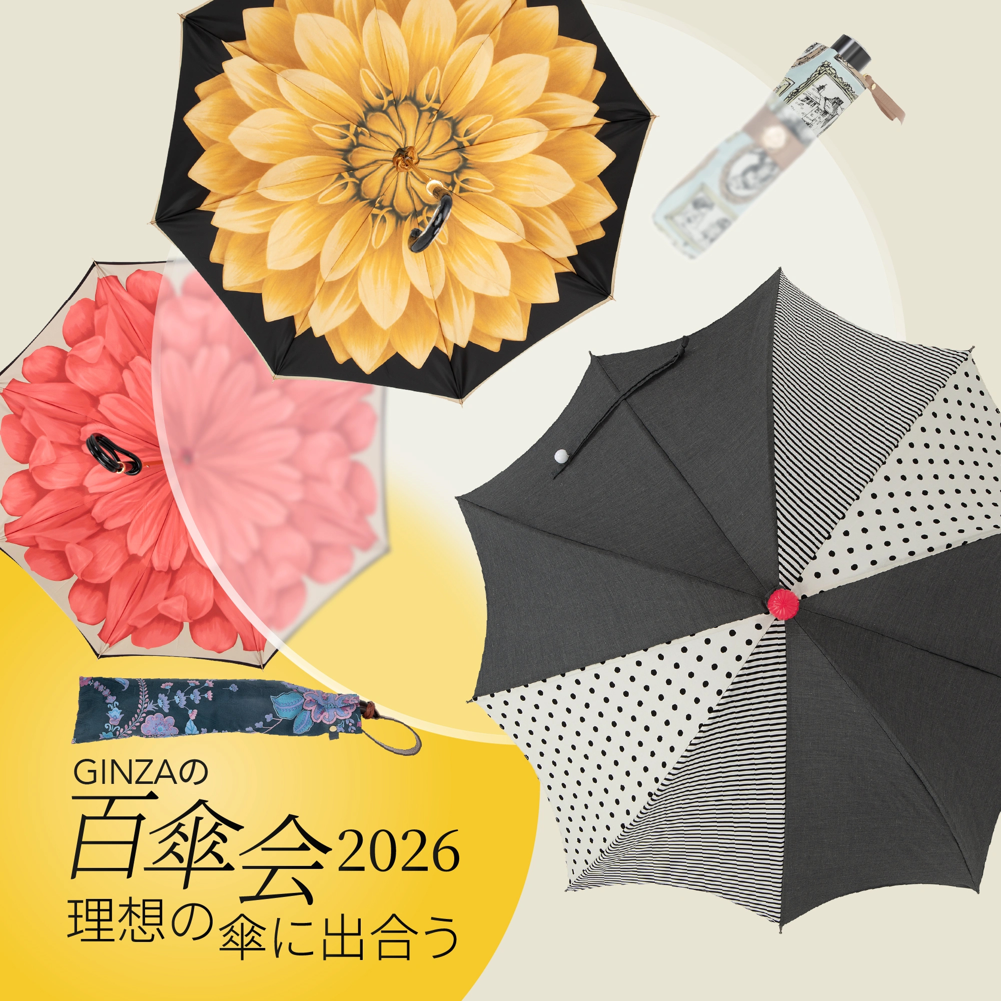 GINZAの百傘会2026｜約3,000本が揃う傘の祭典｜松屋銀座 | Matsuya Ginza