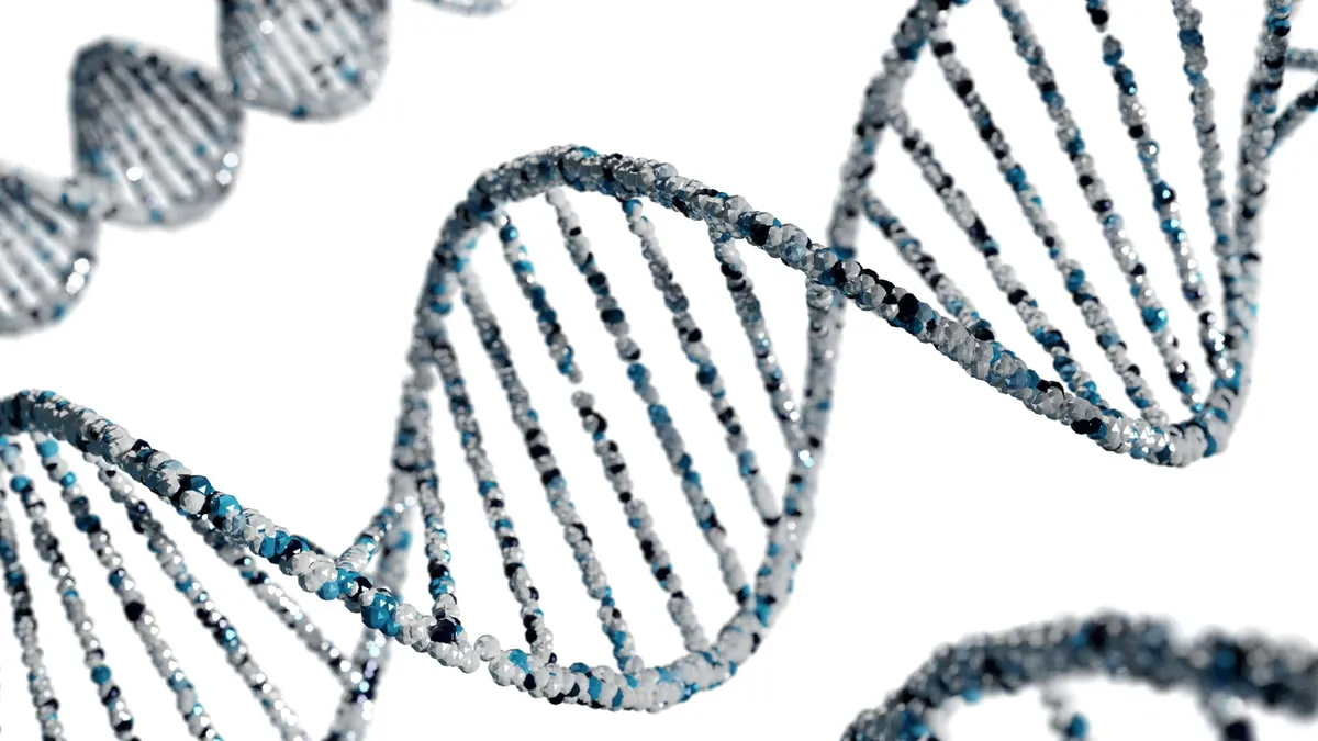 PhD Studentship in Bioinformatics and Cardiovascular Biology ...