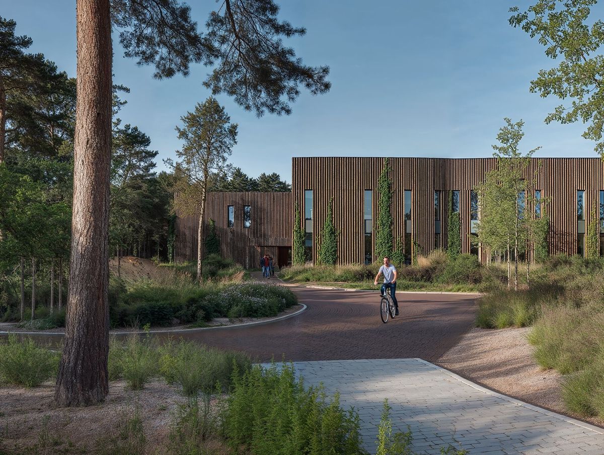 A cyclist rides on a path near a modern building with vertical wooden slats, surrounded by trees and greenery under a clear blue sky.