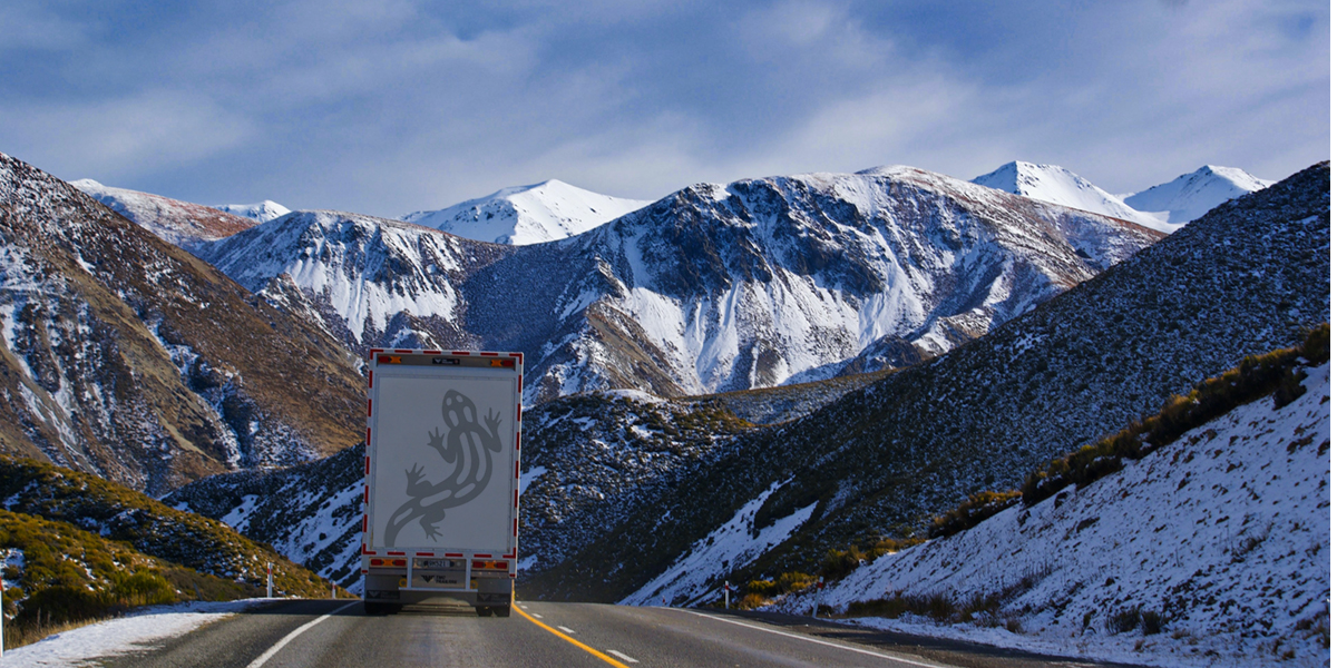 Un camión con un diseño de lagarto en la parte trasera circula por una carretera de montaña nevada.