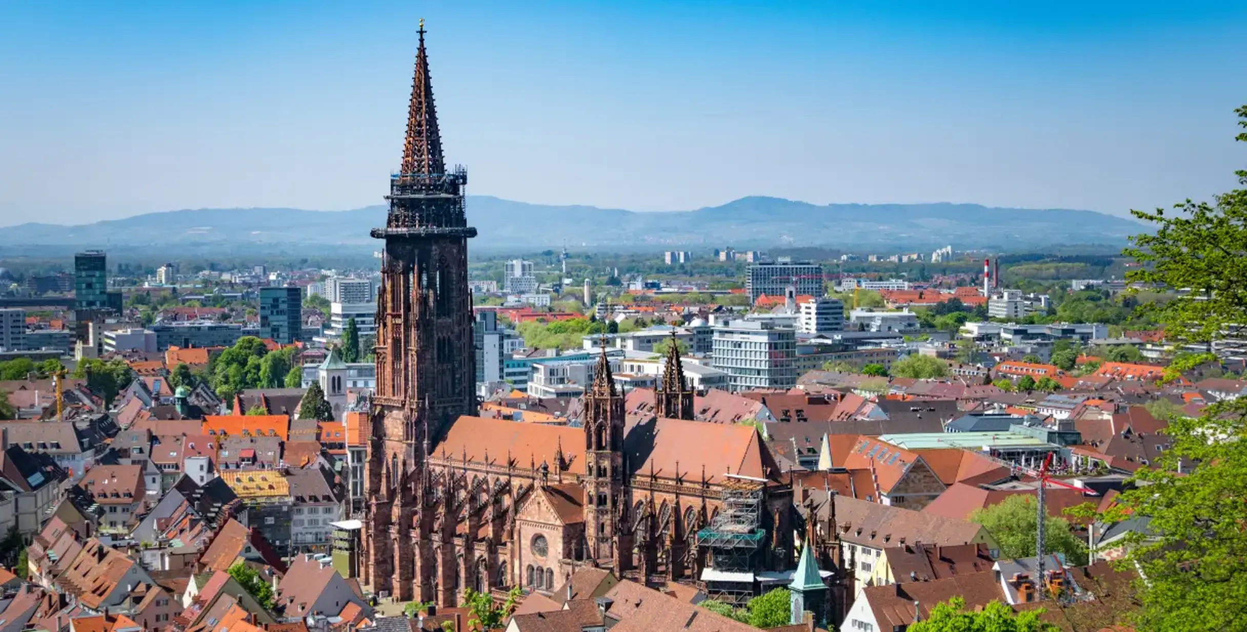 Blick auf die Stadt Freiburg
