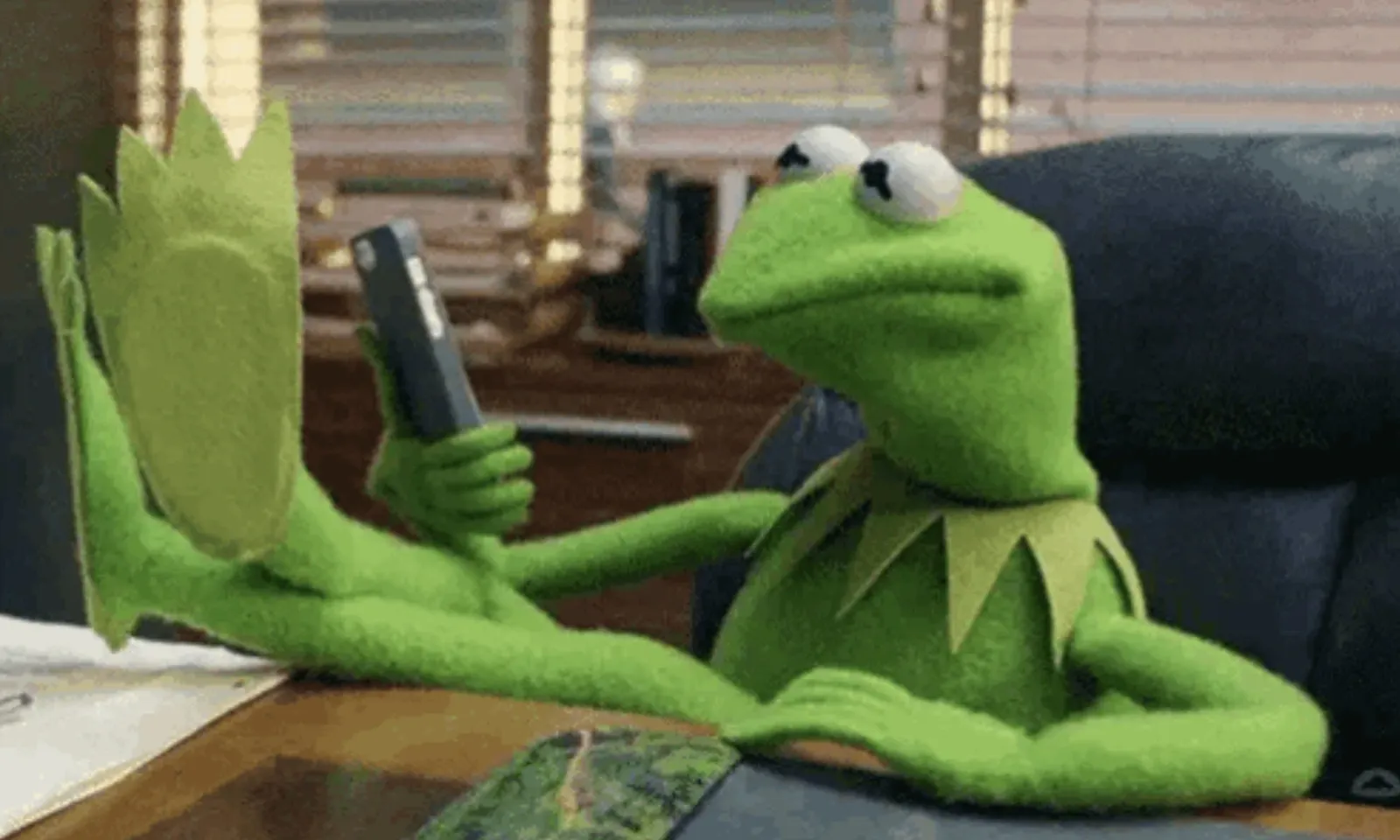 Kermit der Frosch – Meme