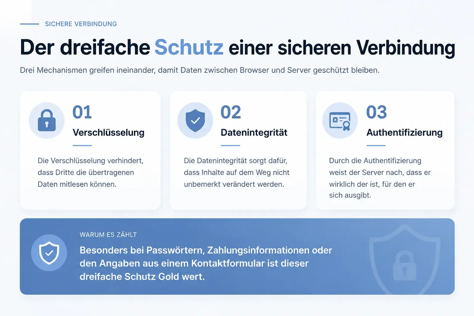 Der dreifache Web Schutz