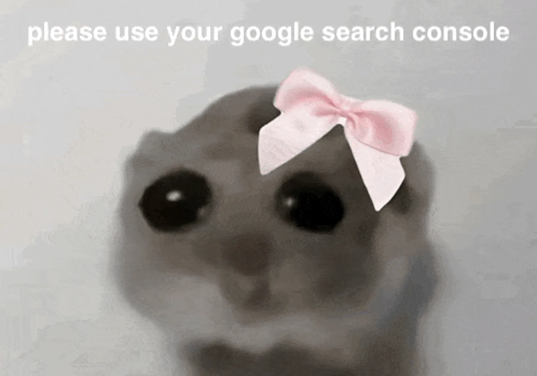 Darum brauchst du eine Google Search Console