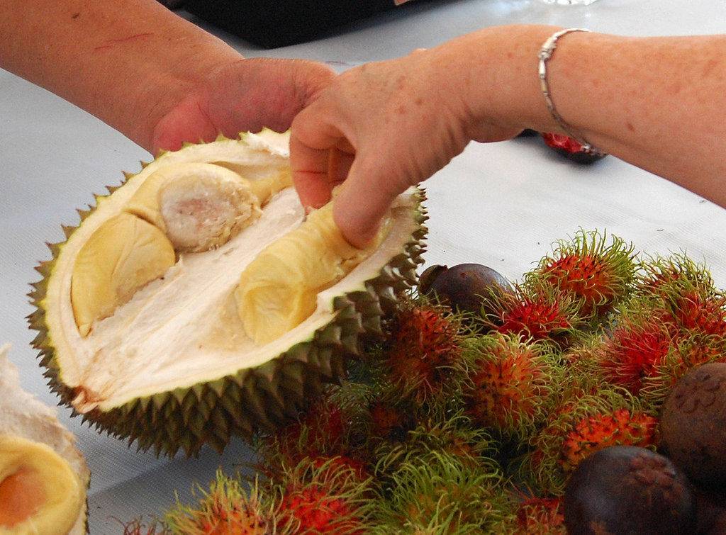 Durian Fruit