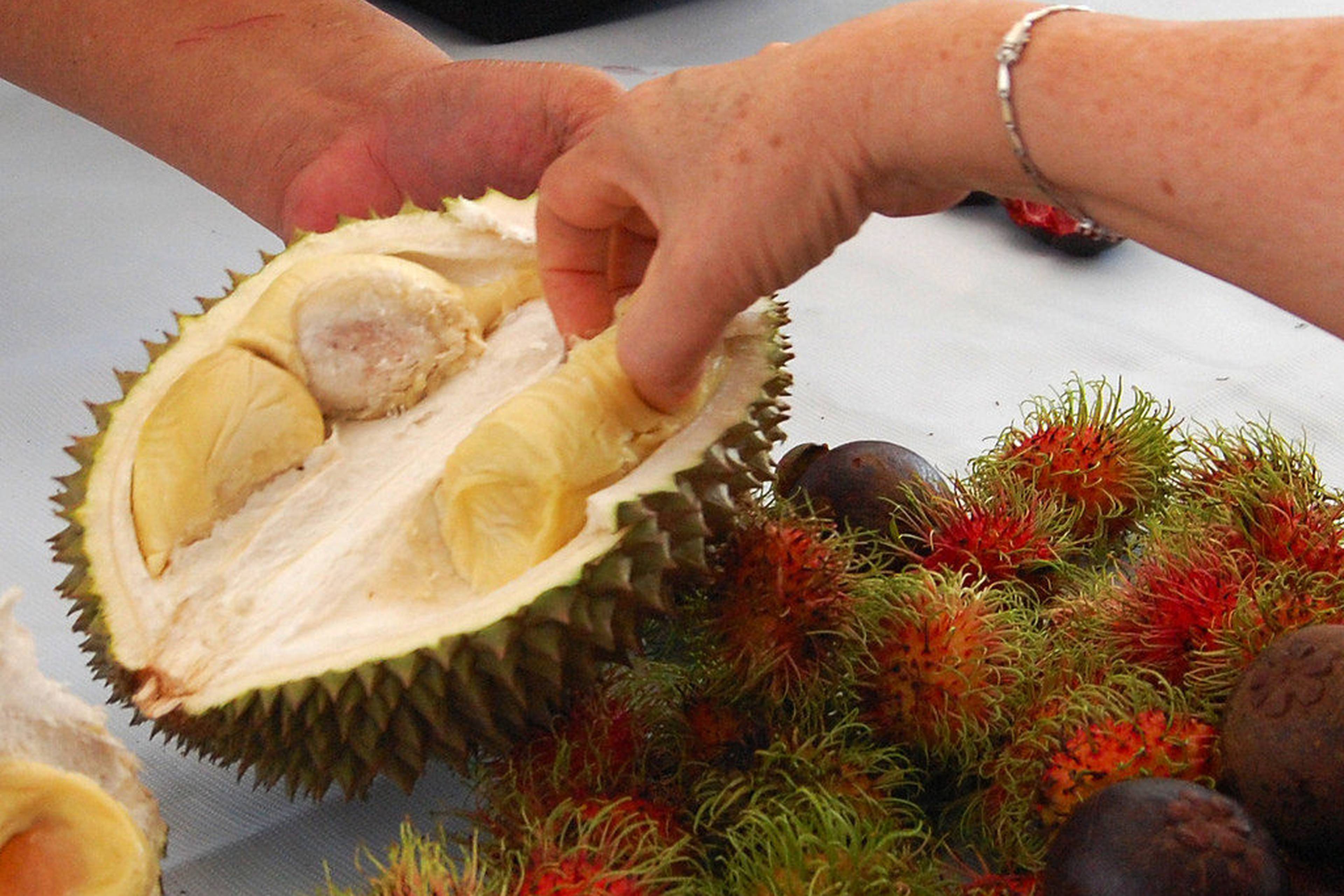 Durian Fruit