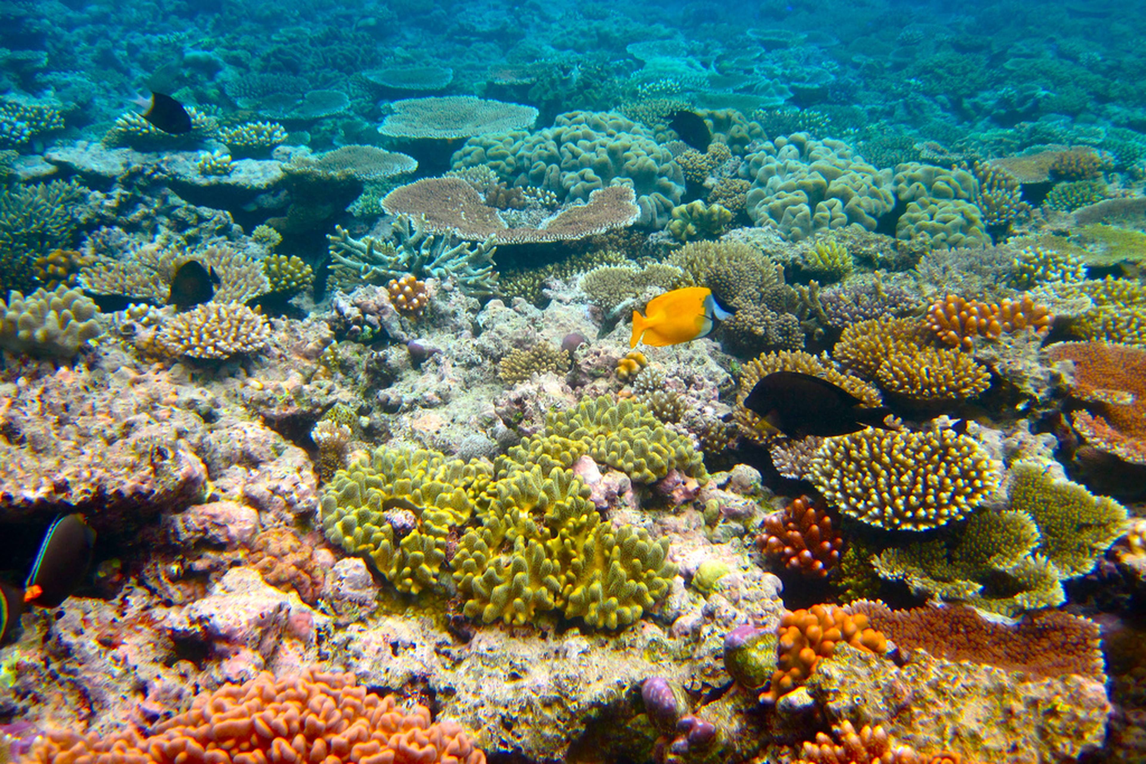 Great Barrier Reef
