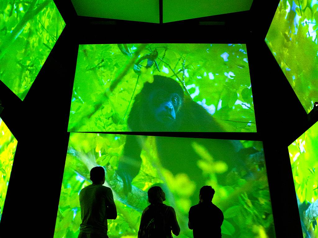 stem learning in panama
