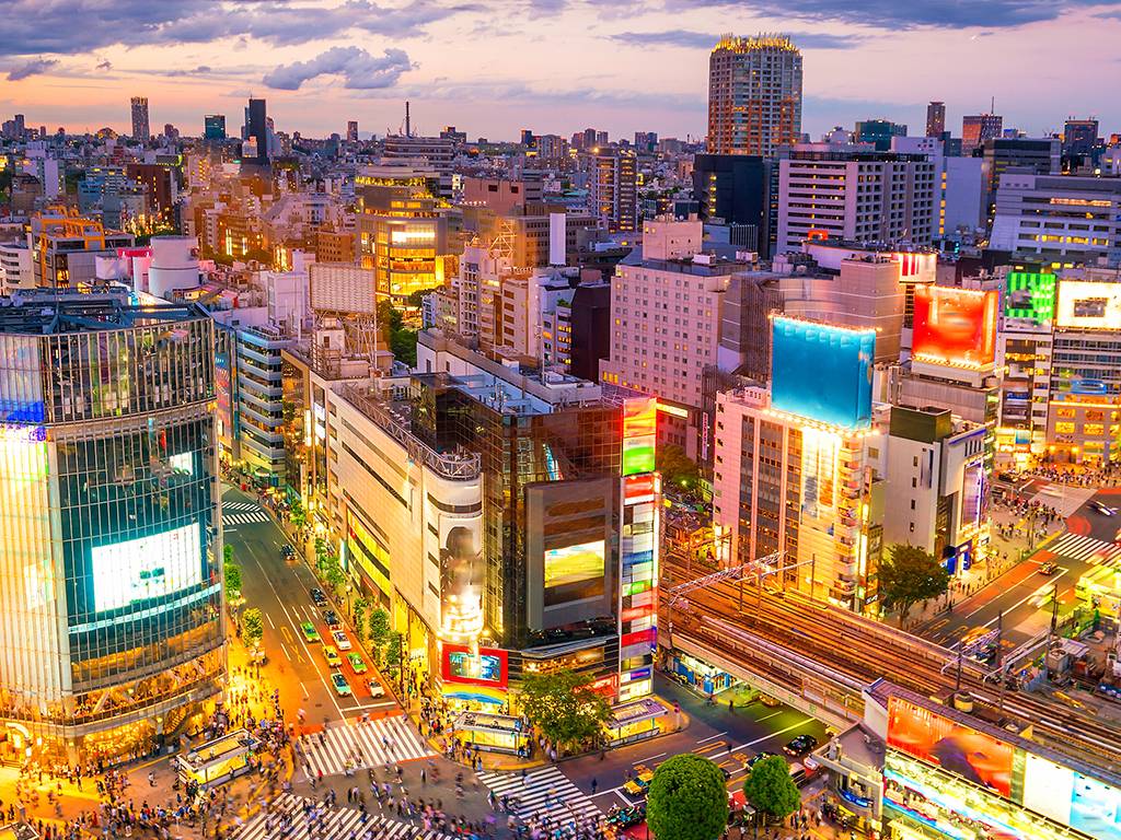 stem learning in japan