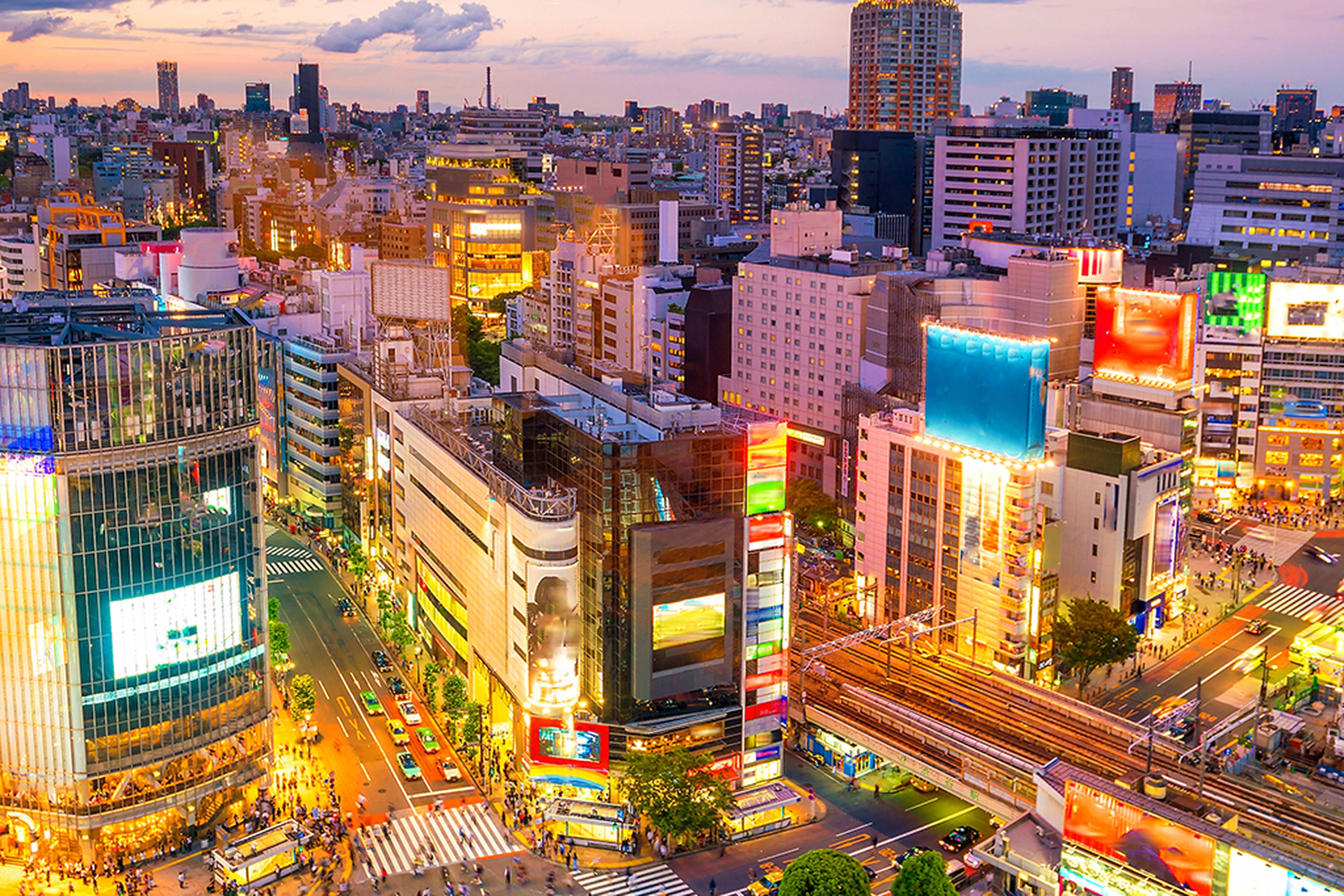 stem learning in japan