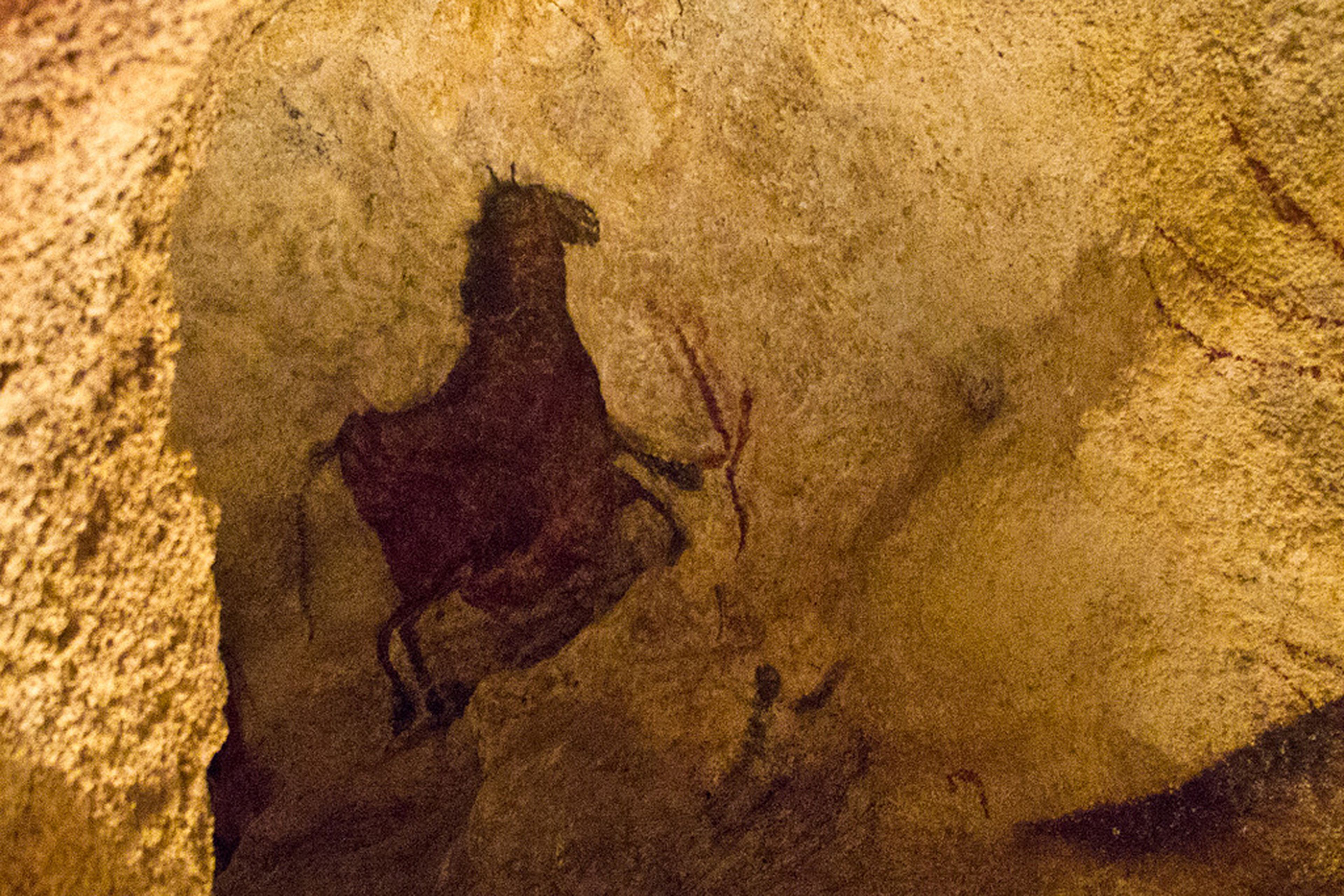 Lascaux Cave Painting of Horse