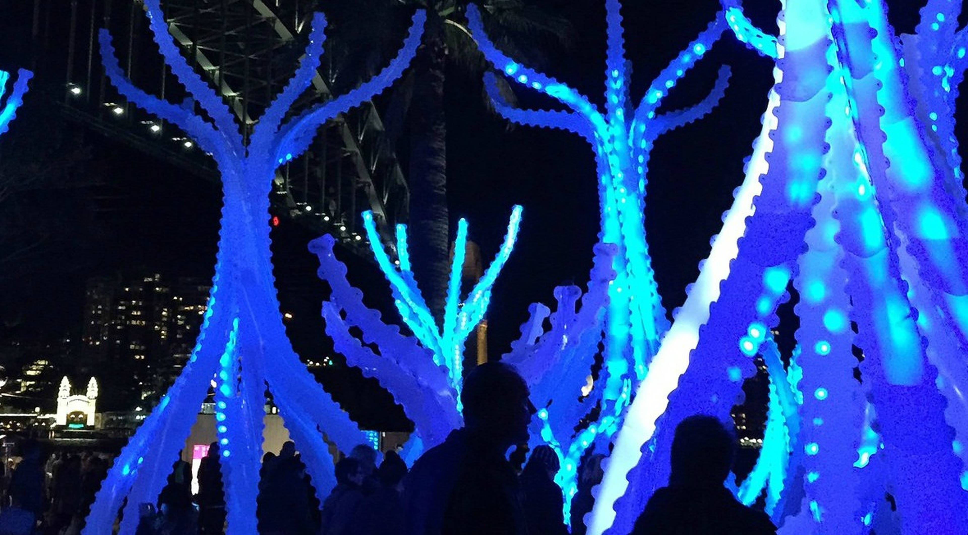 Arclight-at-the-Rocks-1