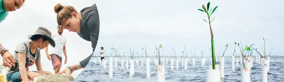 Environment pillar