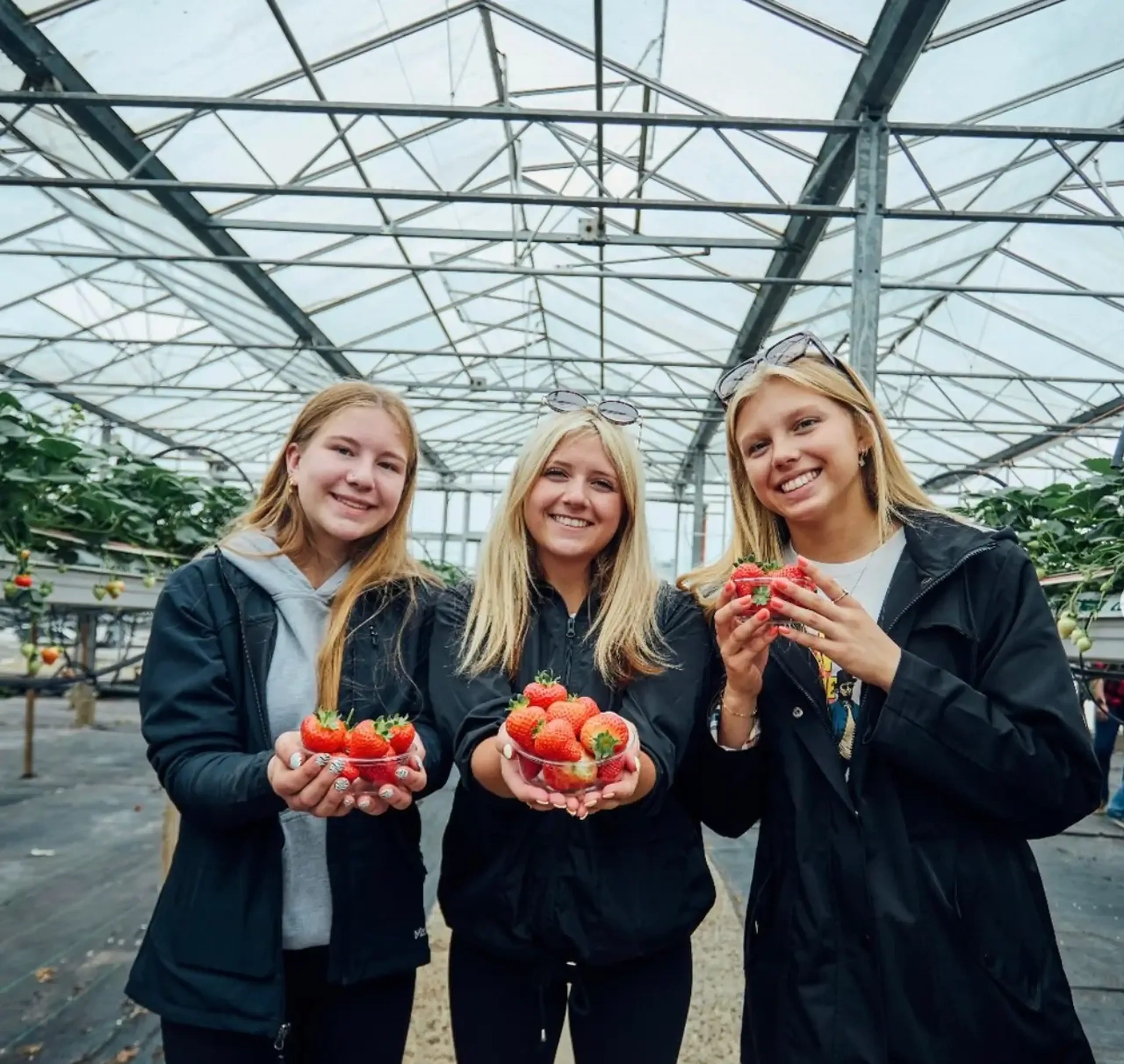 Three travelers visiting a strawberry farm on tour in Ireland