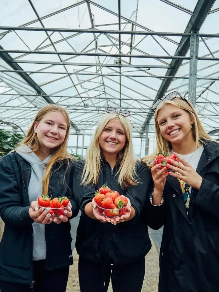 Three travelers visiting a strawberry farm on tour in Ireland