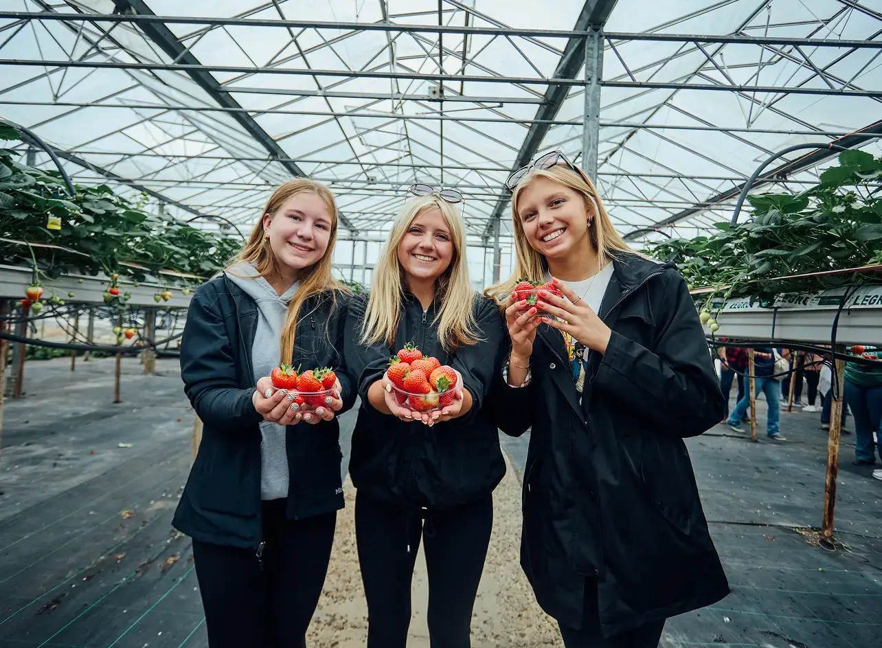 Three travelers visiting a strawberry farm on tour in Ireland