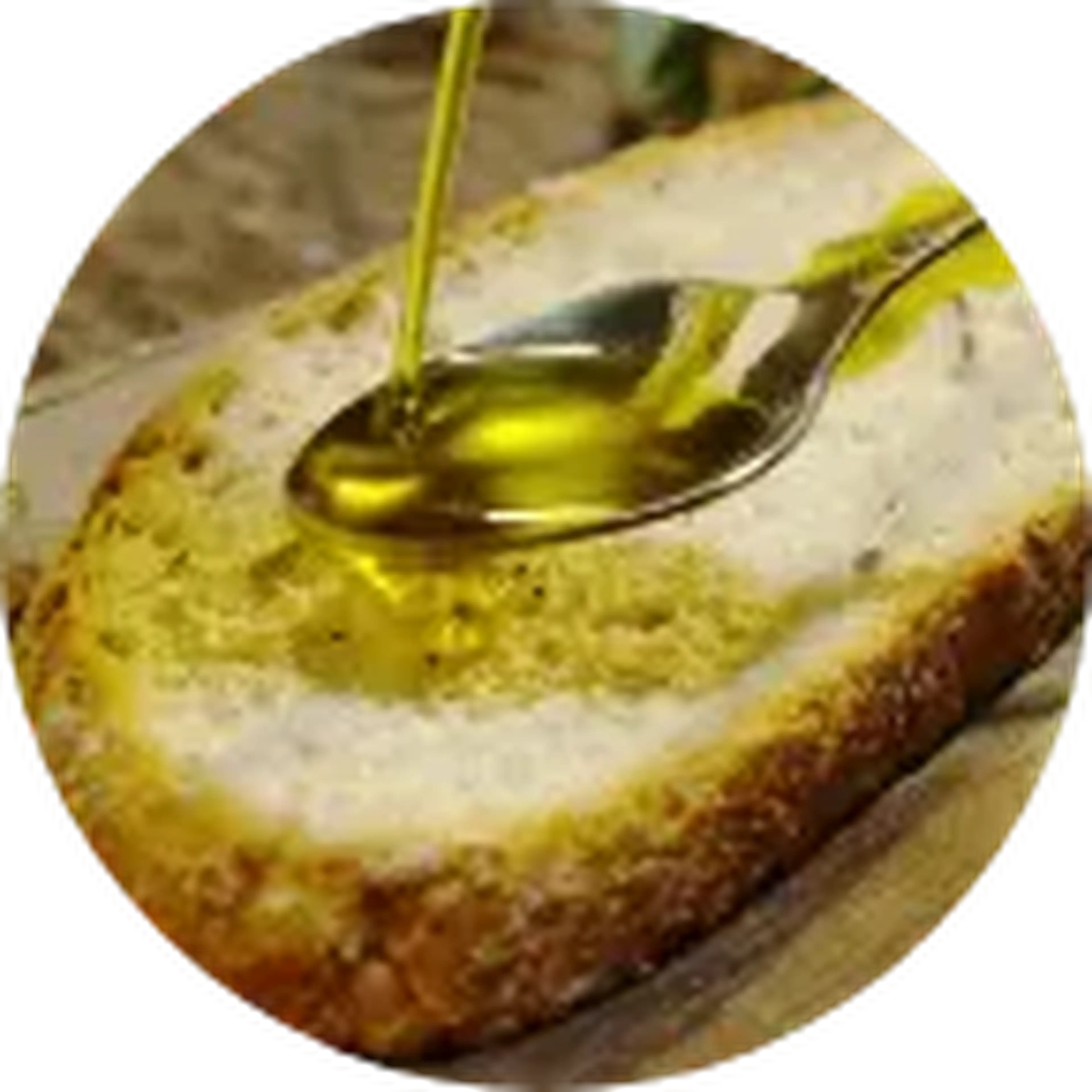 Authentic experiences on an Off The Beaten Path tour