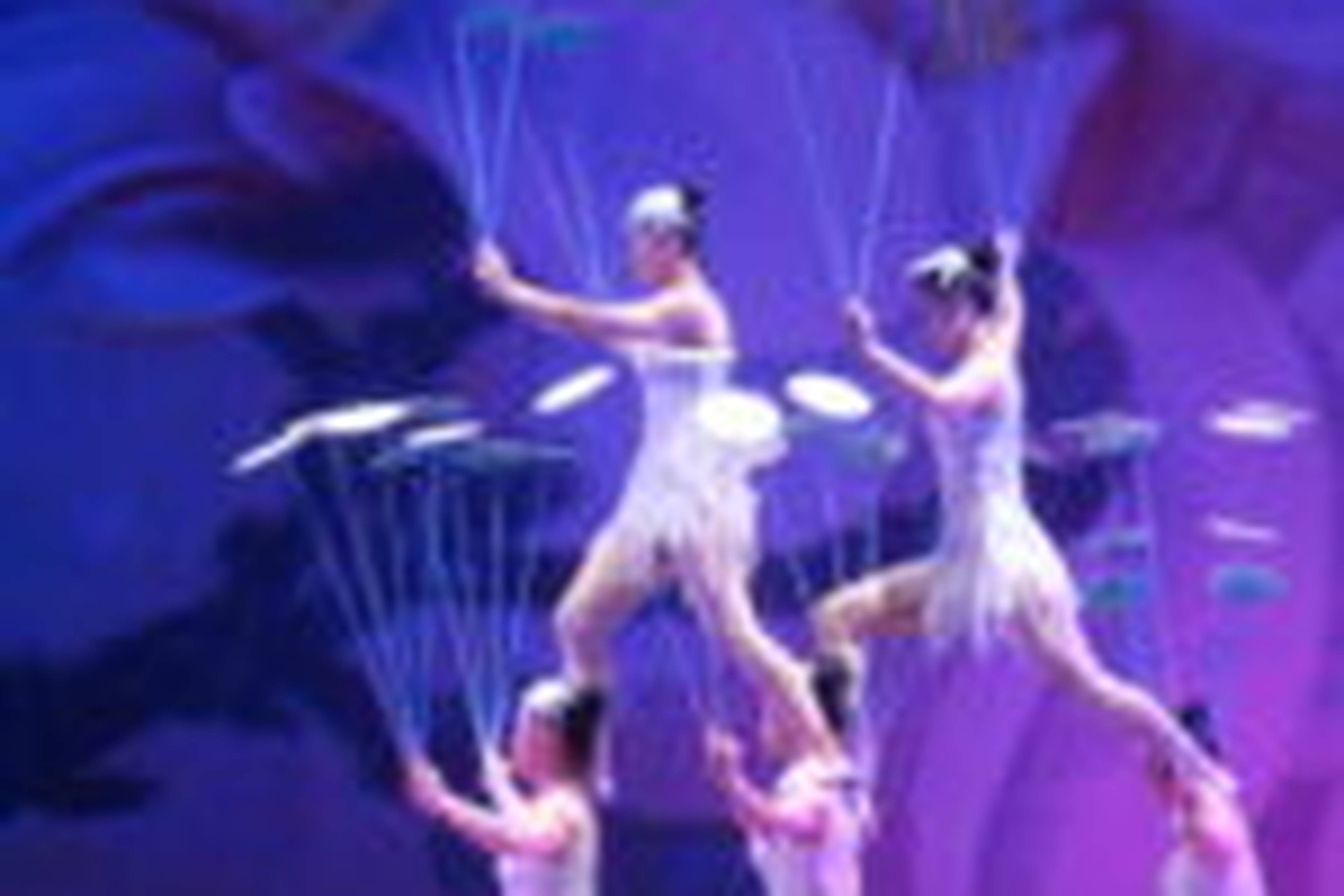 Acrobat Show in Shanghai