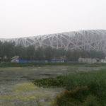 The Olympic Bird