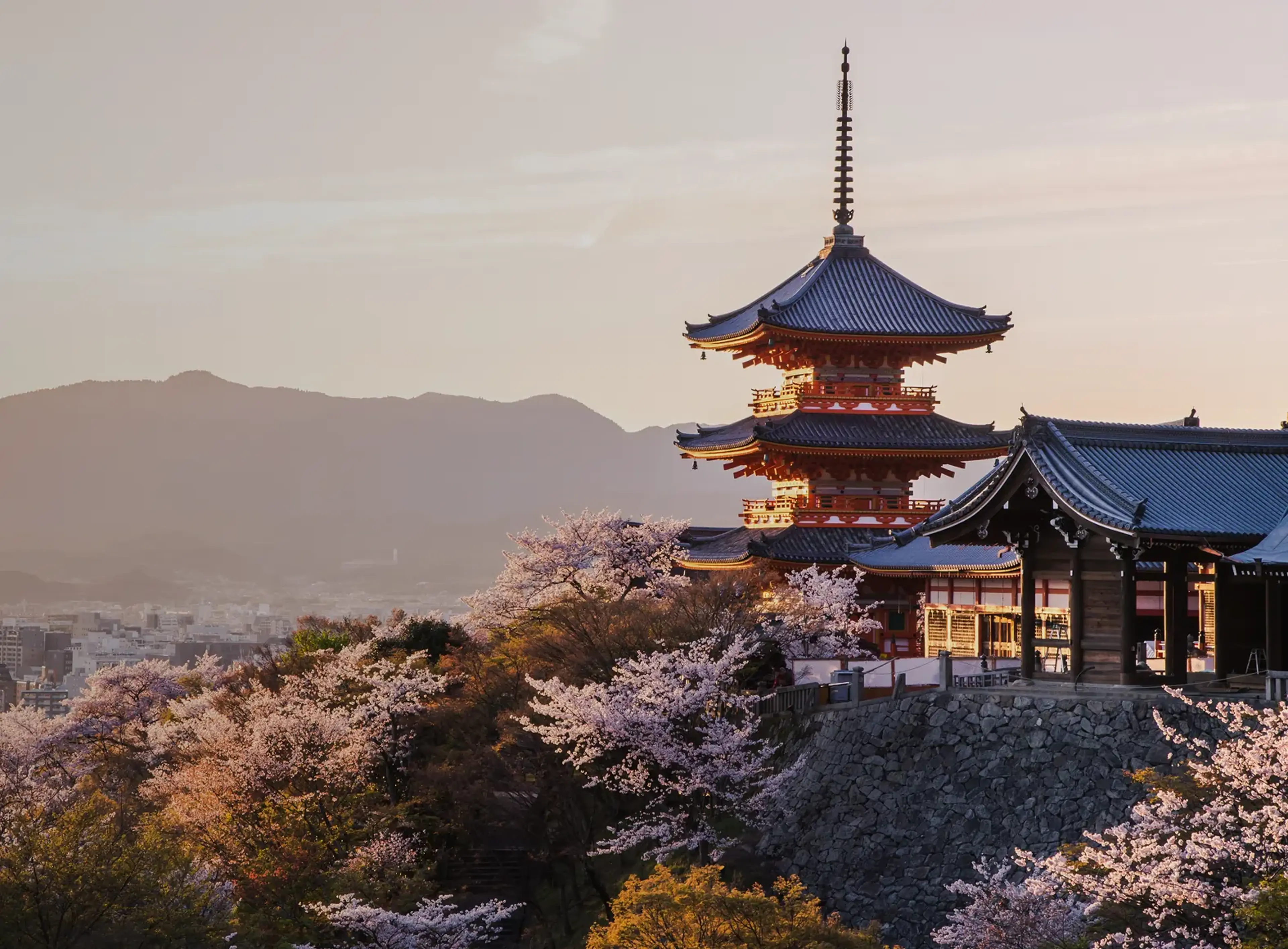 Traditional pagoda overlooking a hillside of cherry blossoms above the city of Kyoto at sunset