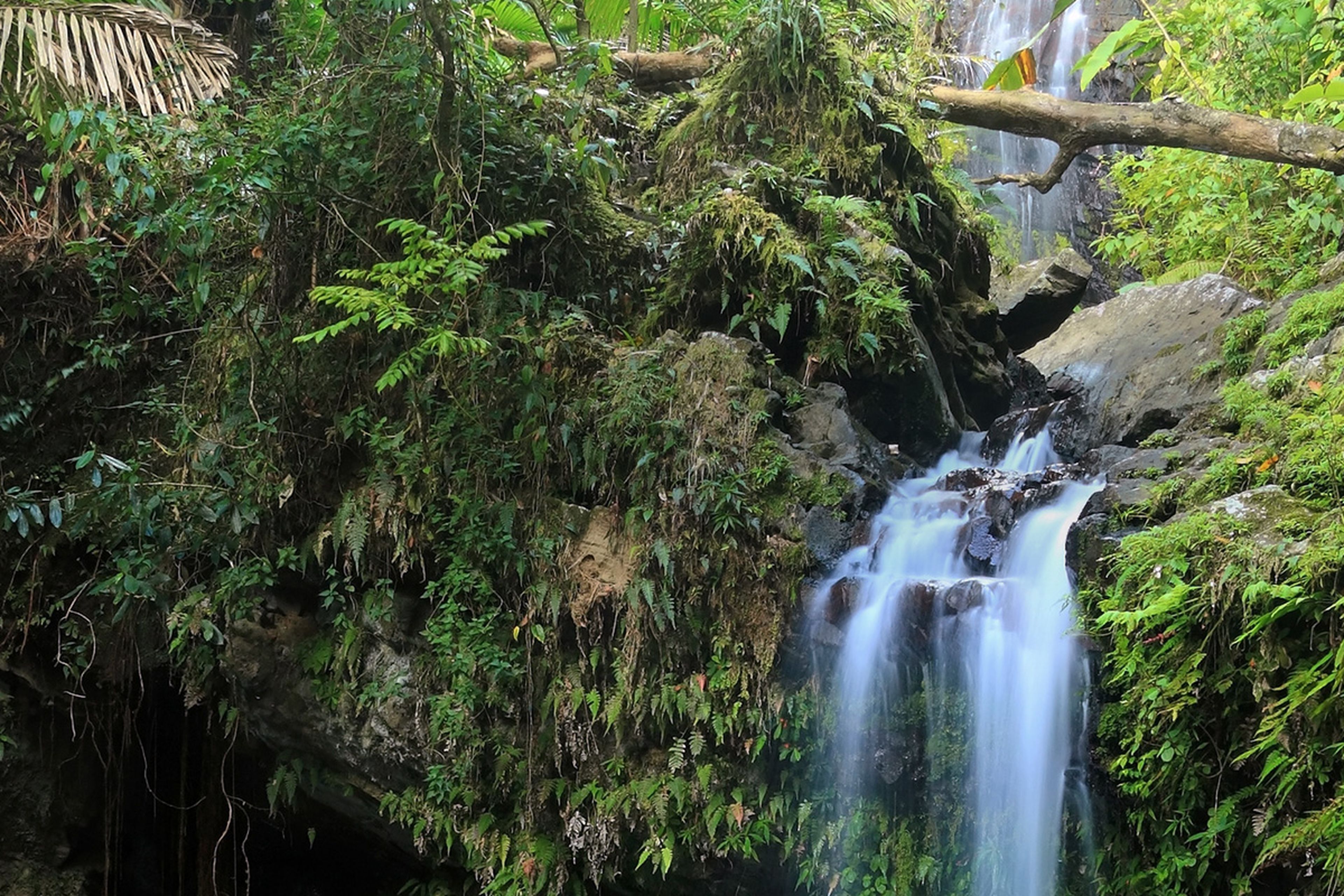 puerto-rico-waterfall