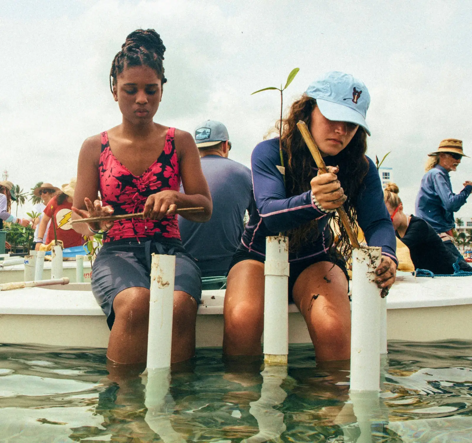 Students working on mangrove planting