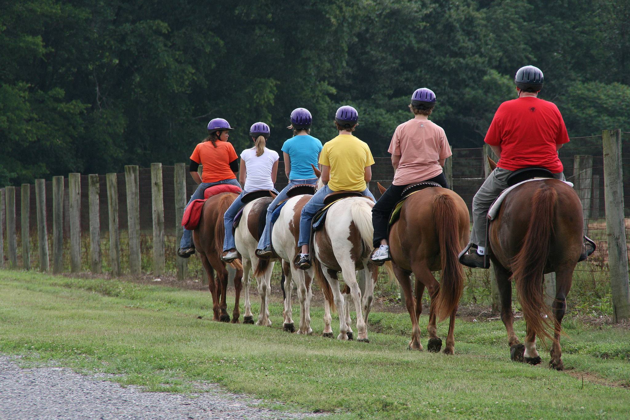 Horseback Riding