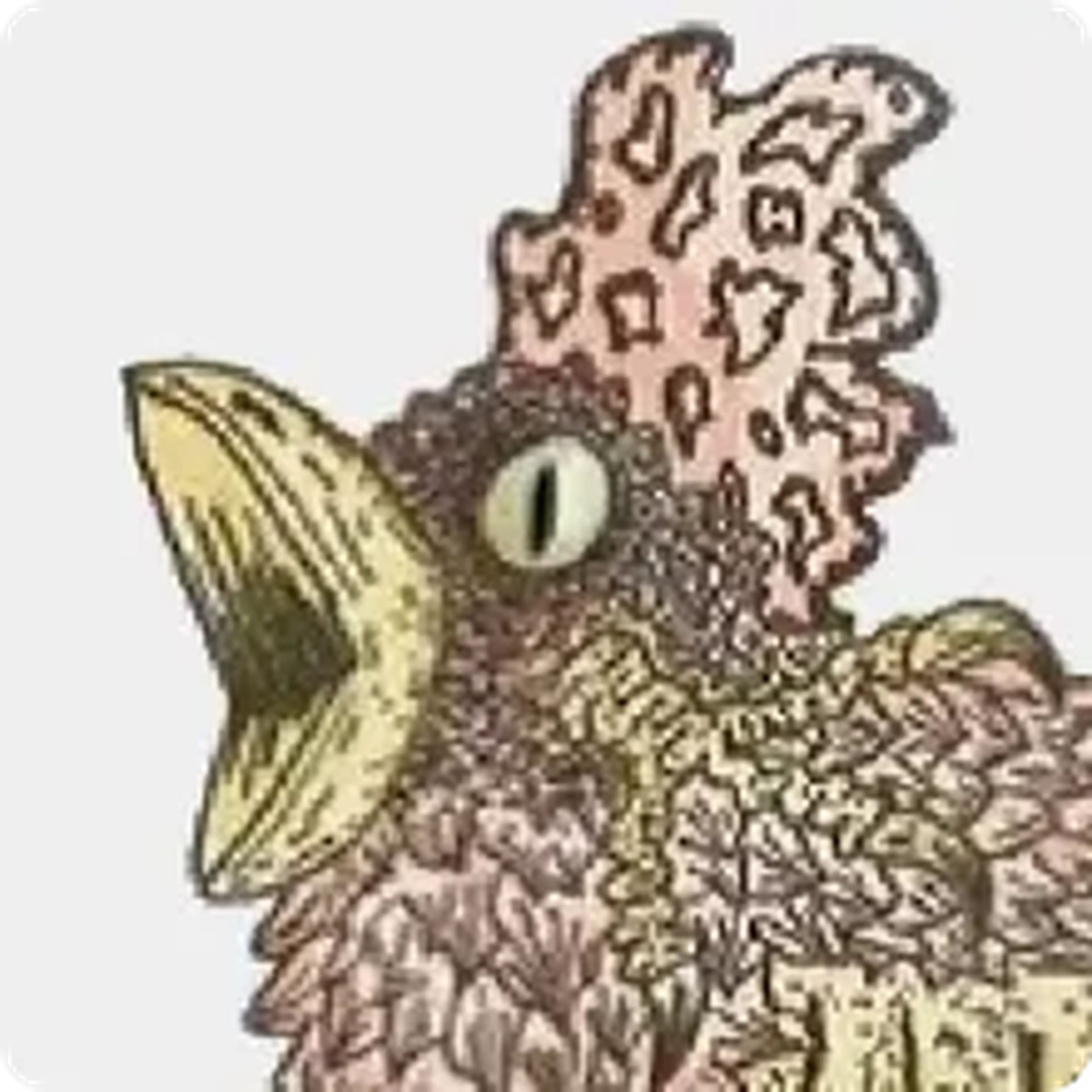 5 monstrous Spanish legends and myths