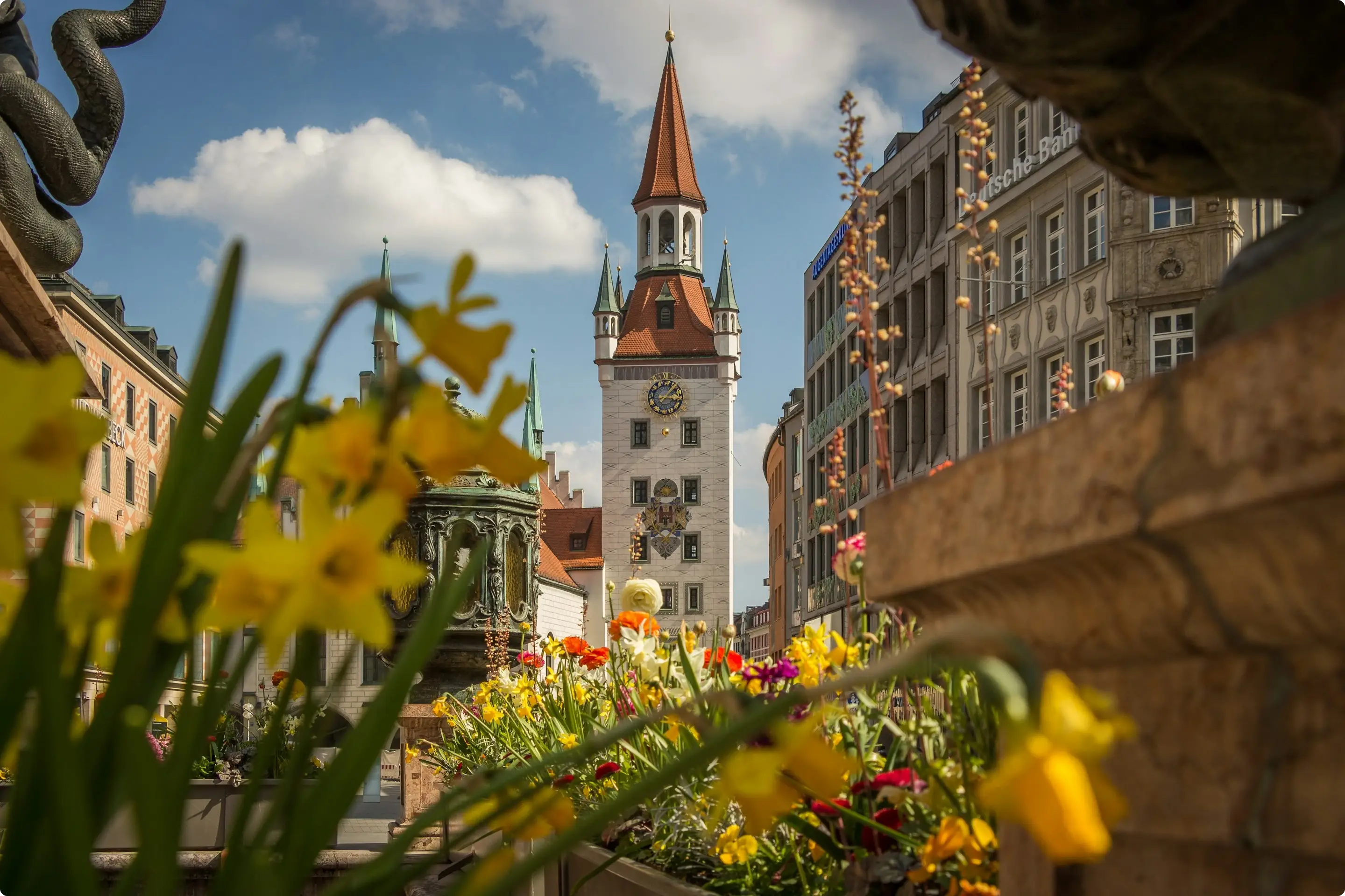 Flowers in Munich