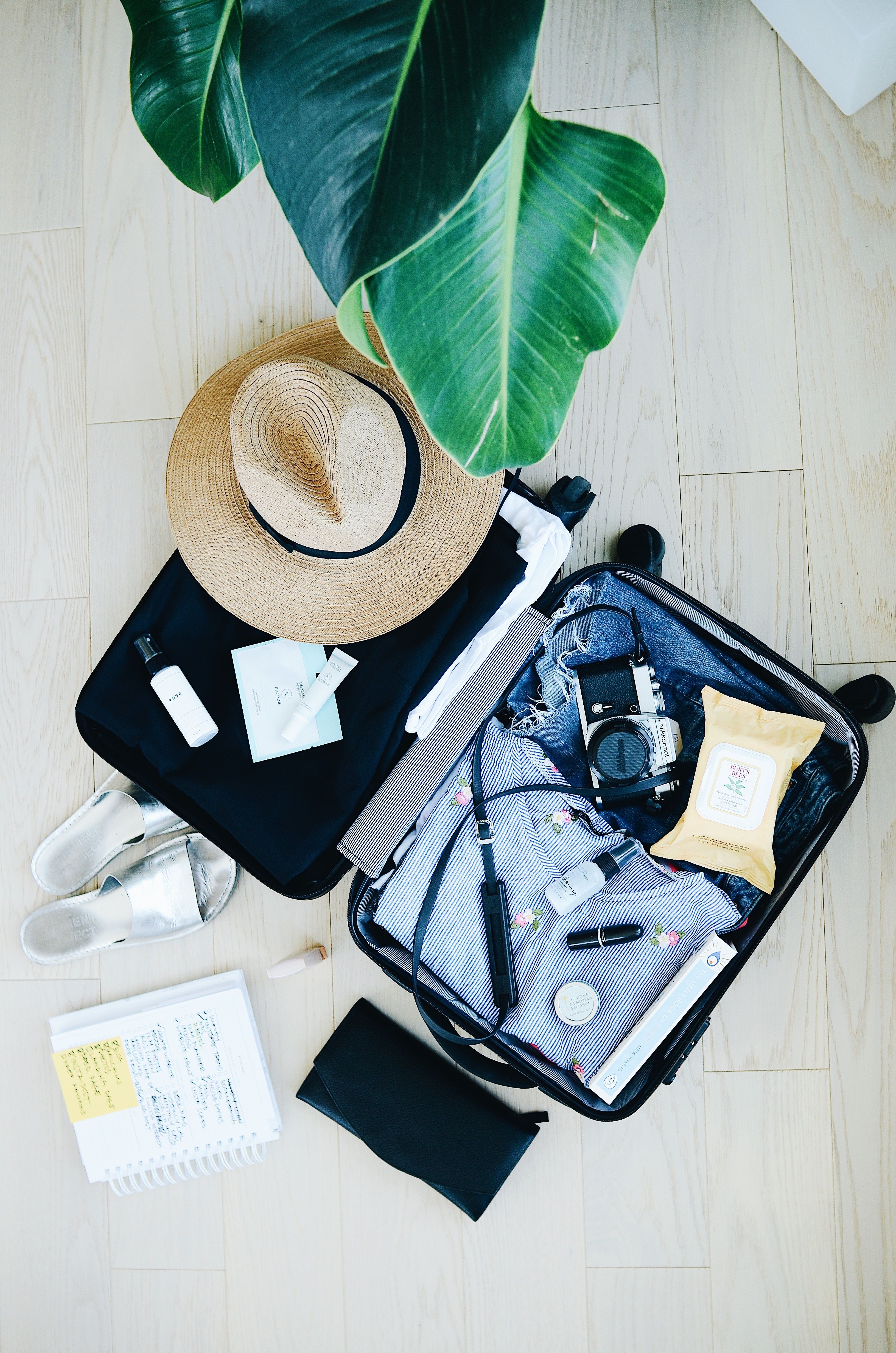 packing flat lay 