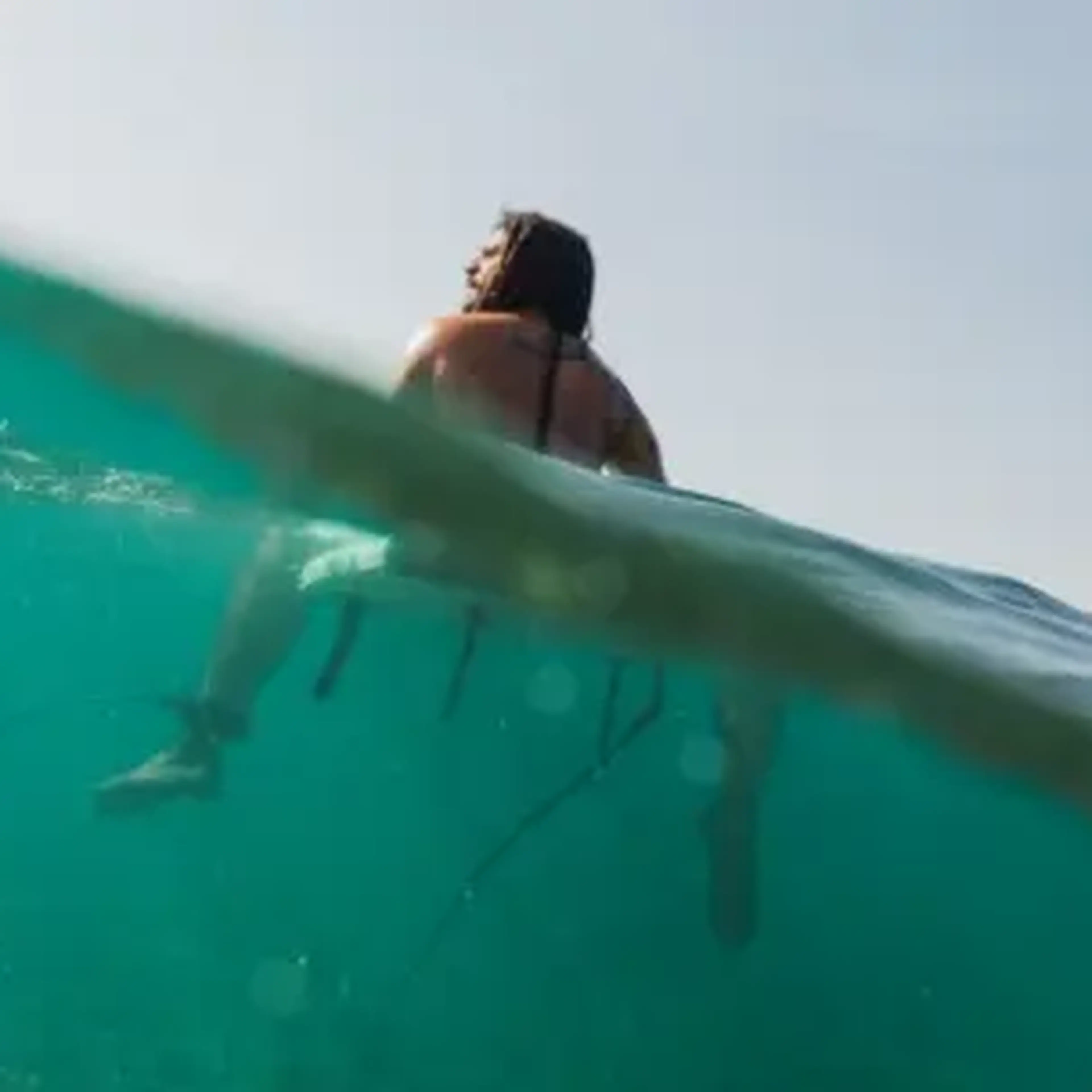 Immerse yourself in the DR