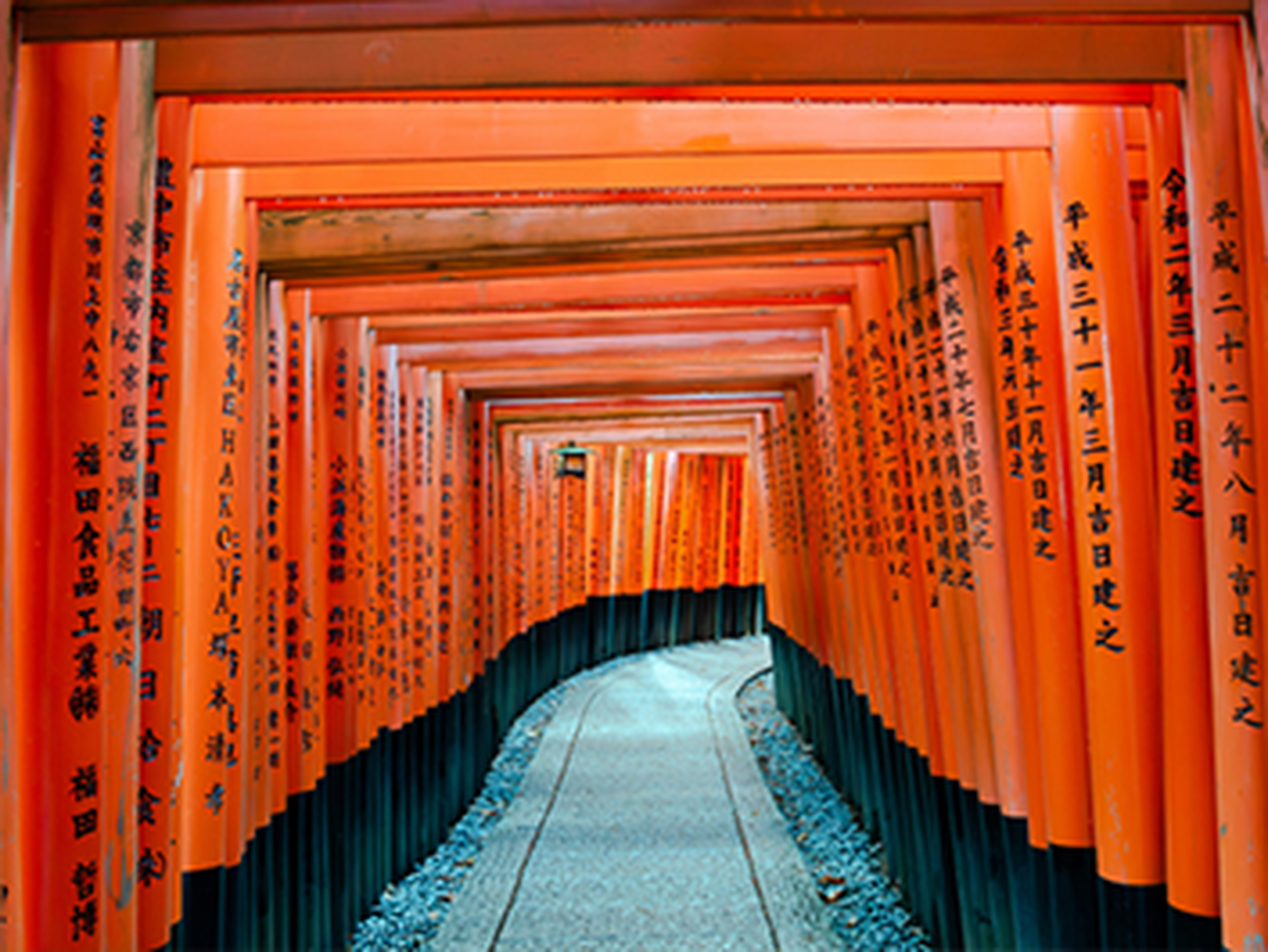 Torii gates at shrine in kyoto Japan