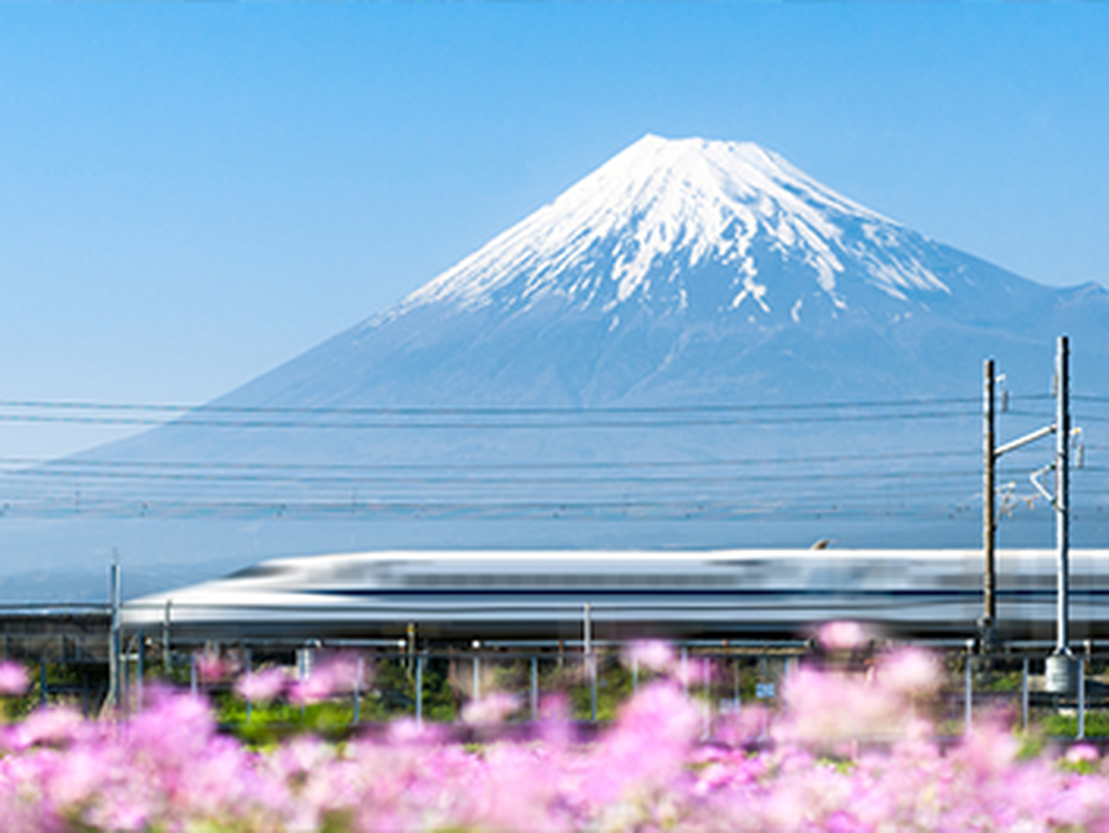 train in front of mount fuji in japan