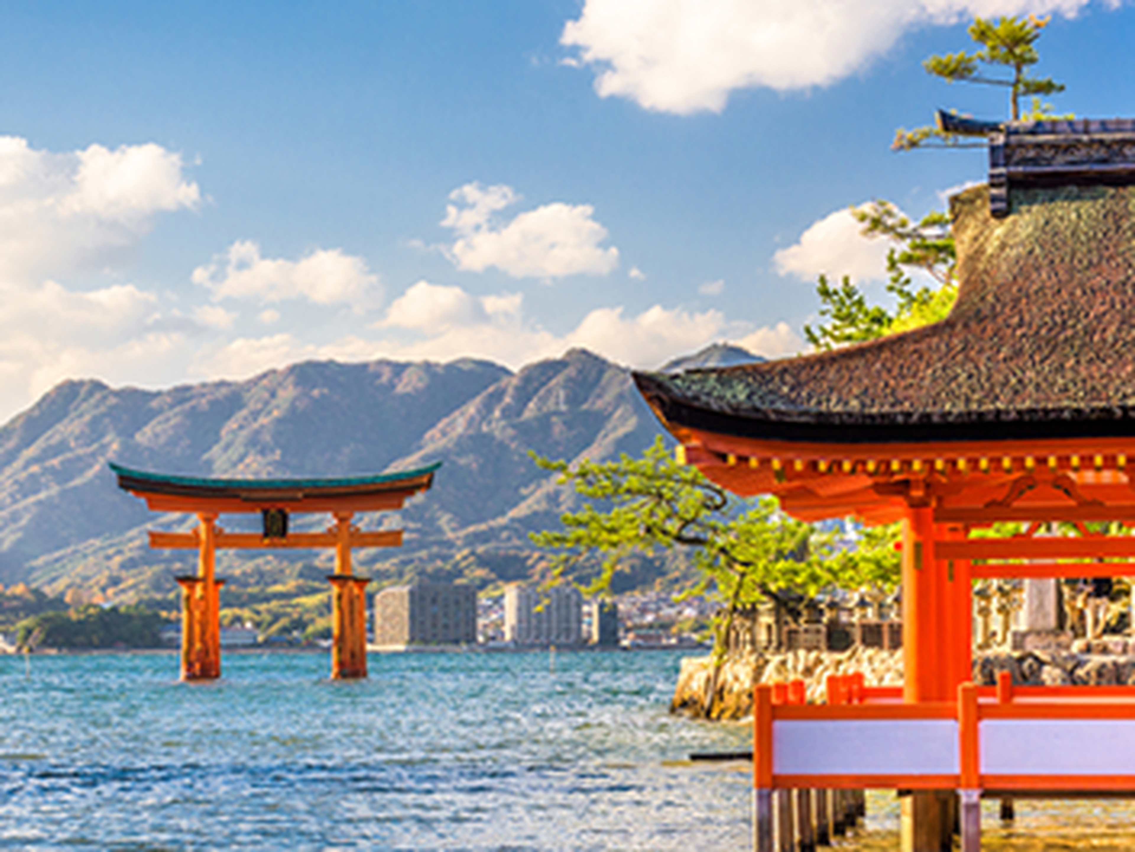 torii gates in the ocean in japan