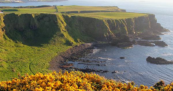 Ireland_Cliffs of Moher 1