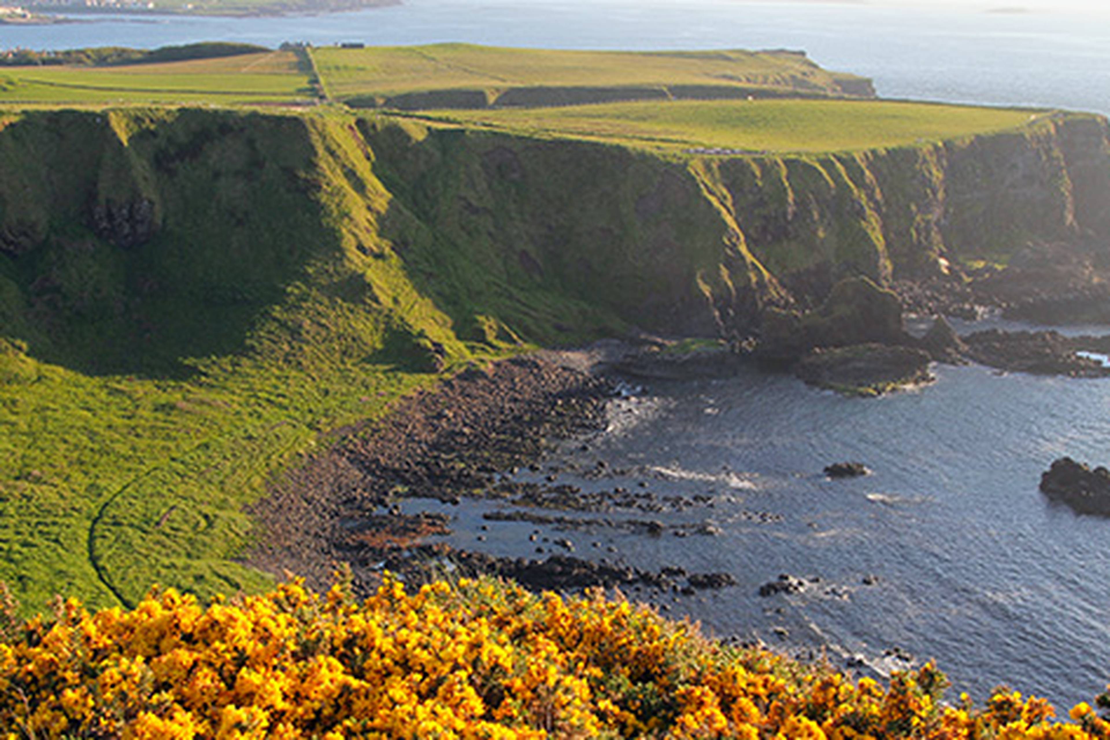 Ireland_Cliffs of Moher 1
