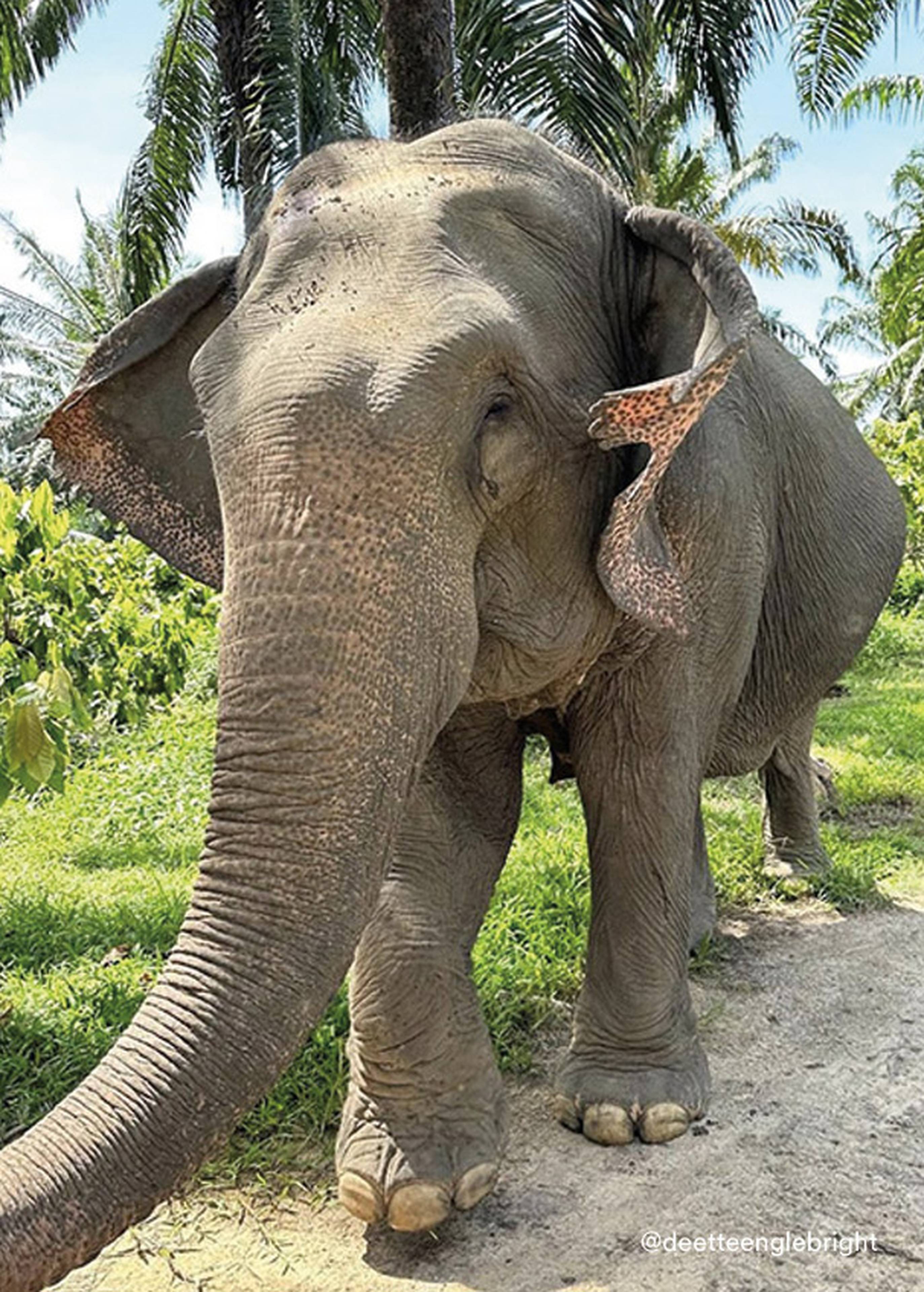 2023-summer-snapshots_102Thailand