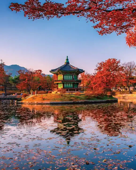South Korea tours