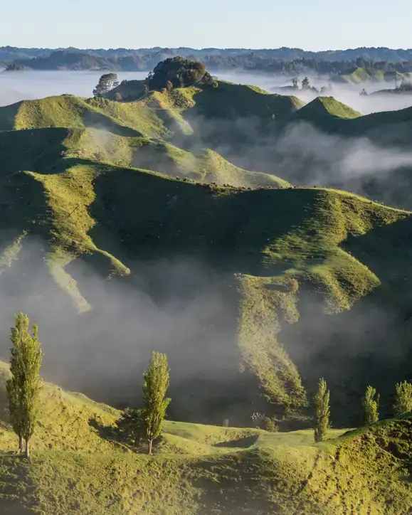 New Zealand tours