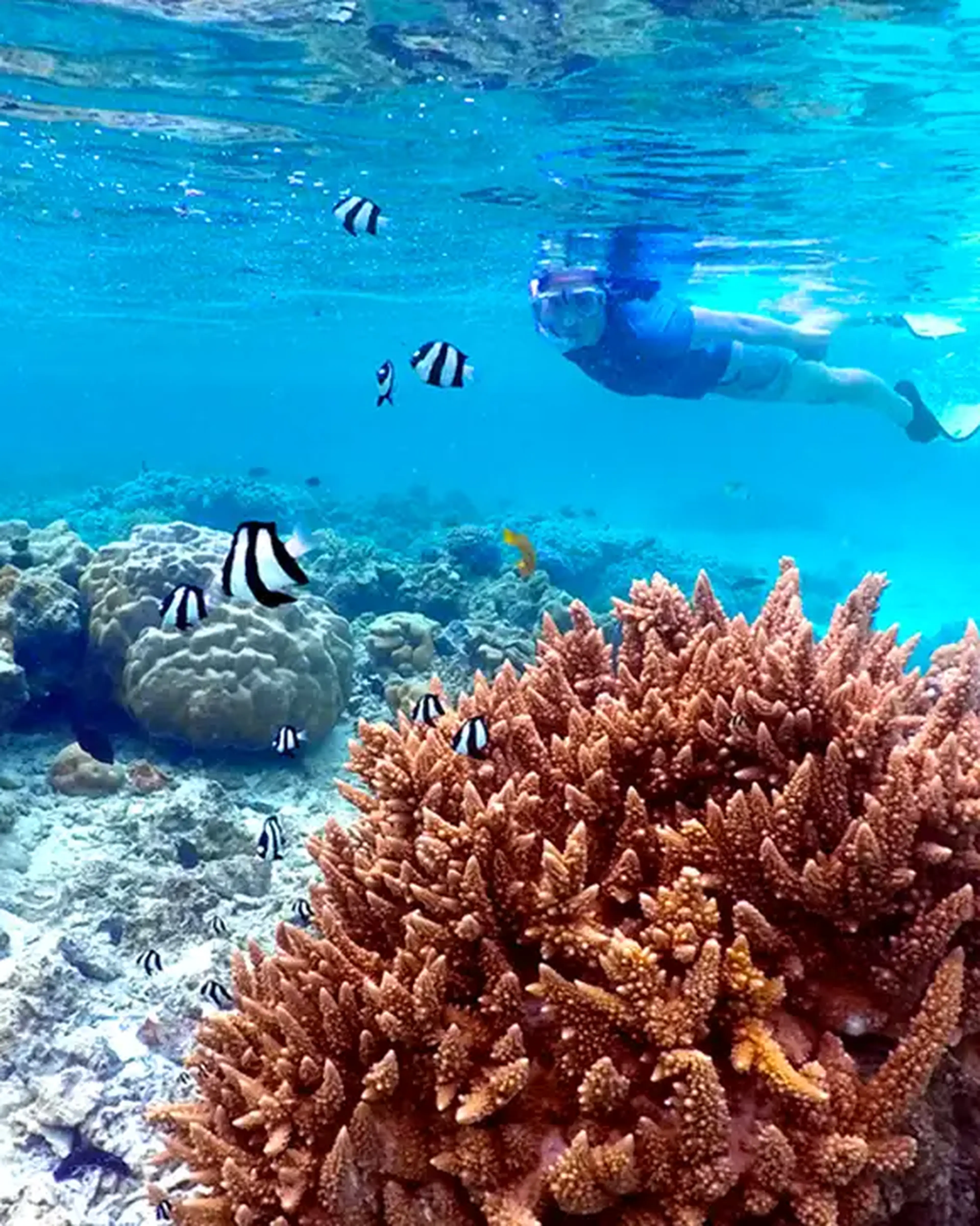Cook Islands tours
