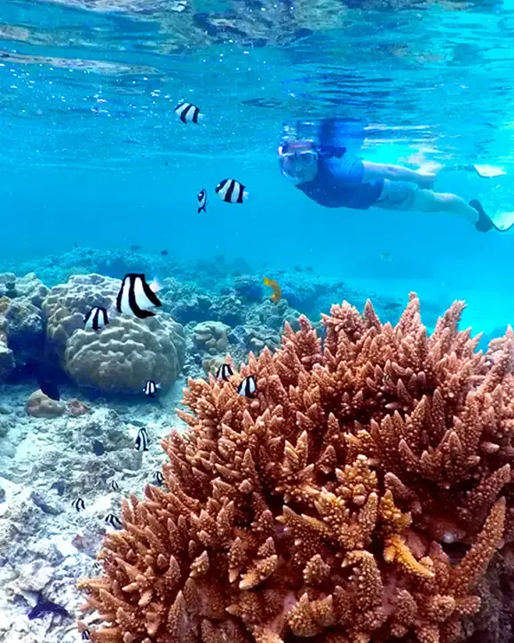 Cook Islands tours